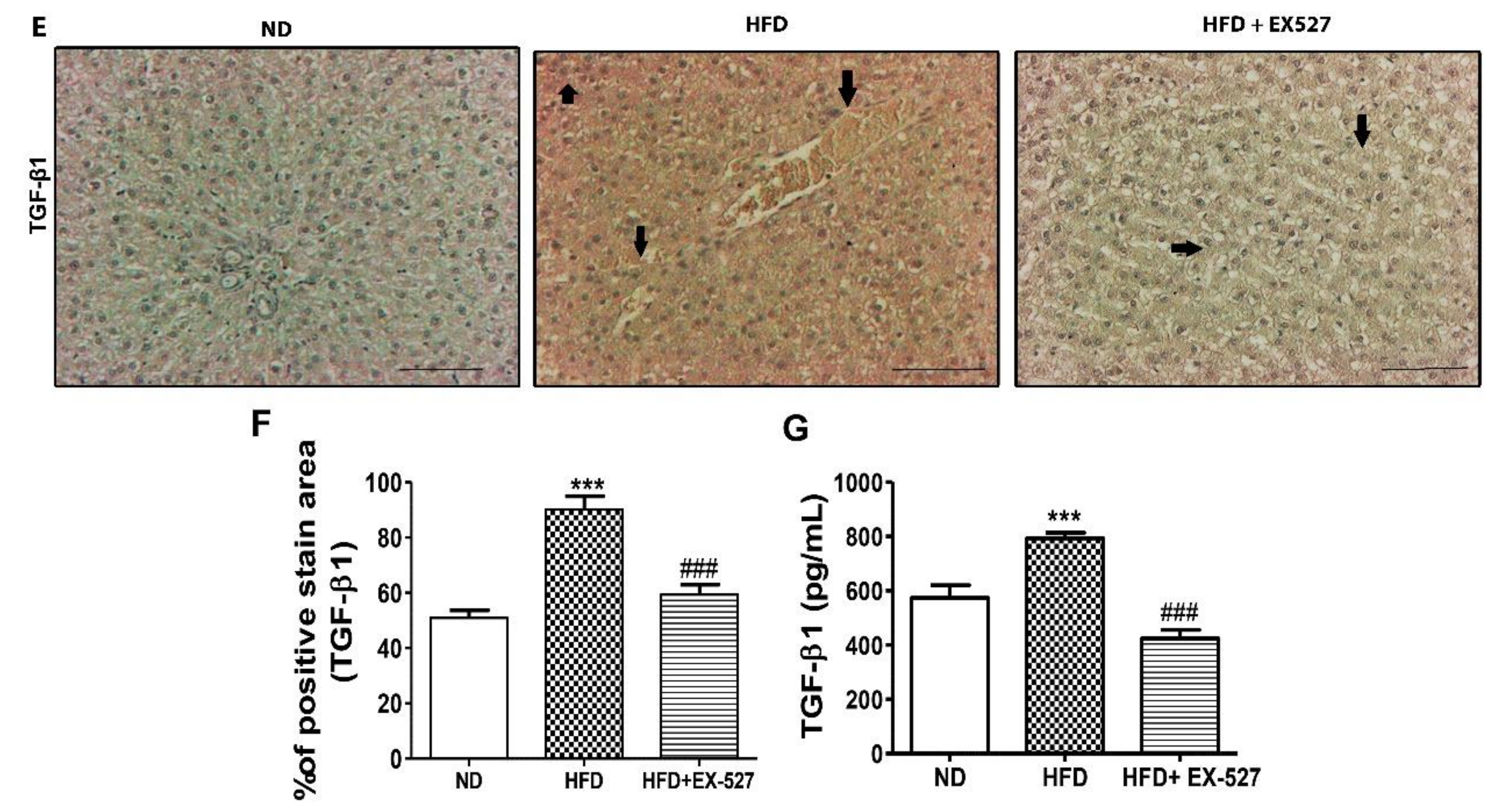 Cells 09 01101 g009b