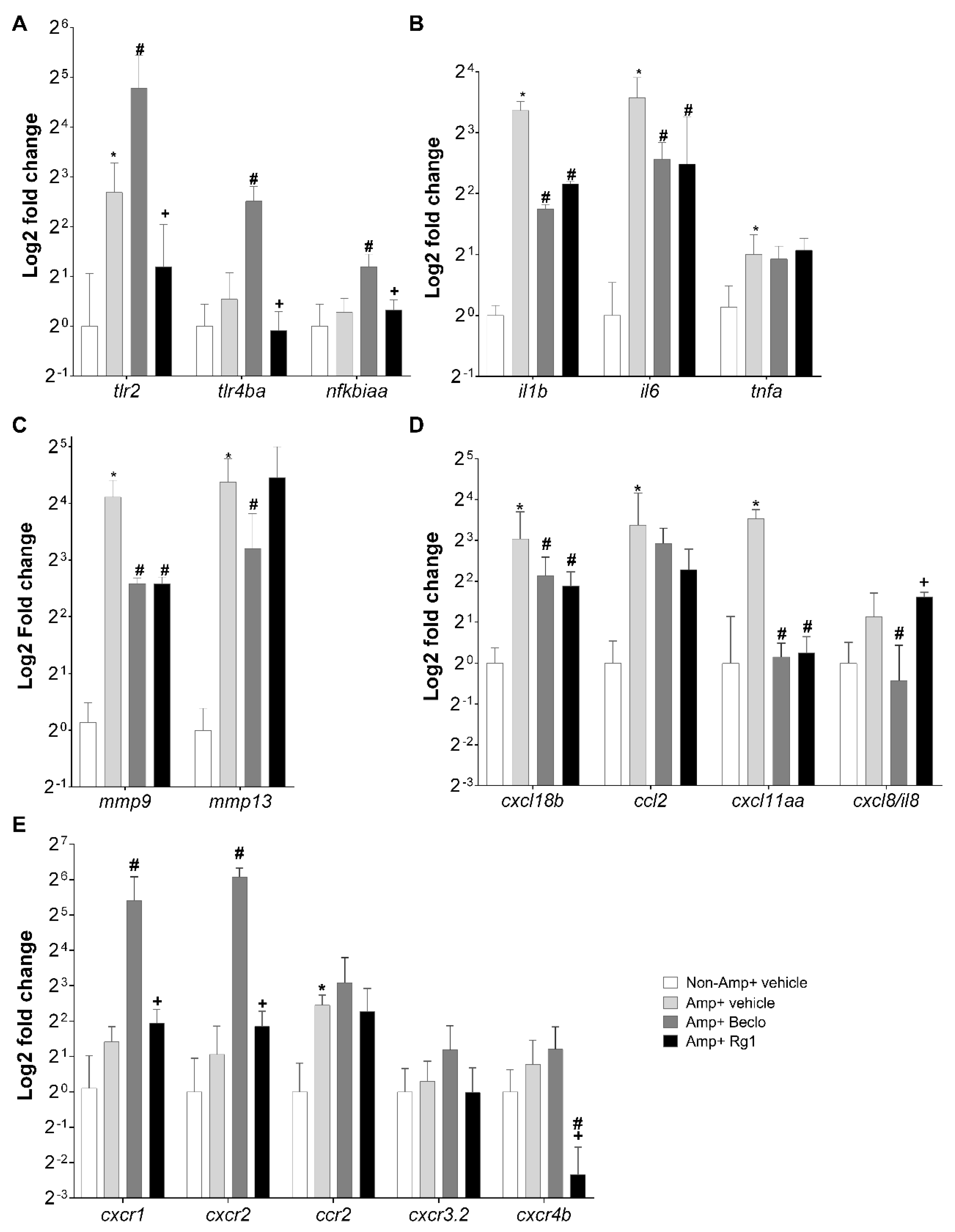 Cells 09 01107 g003 Cells 09 01107 g003