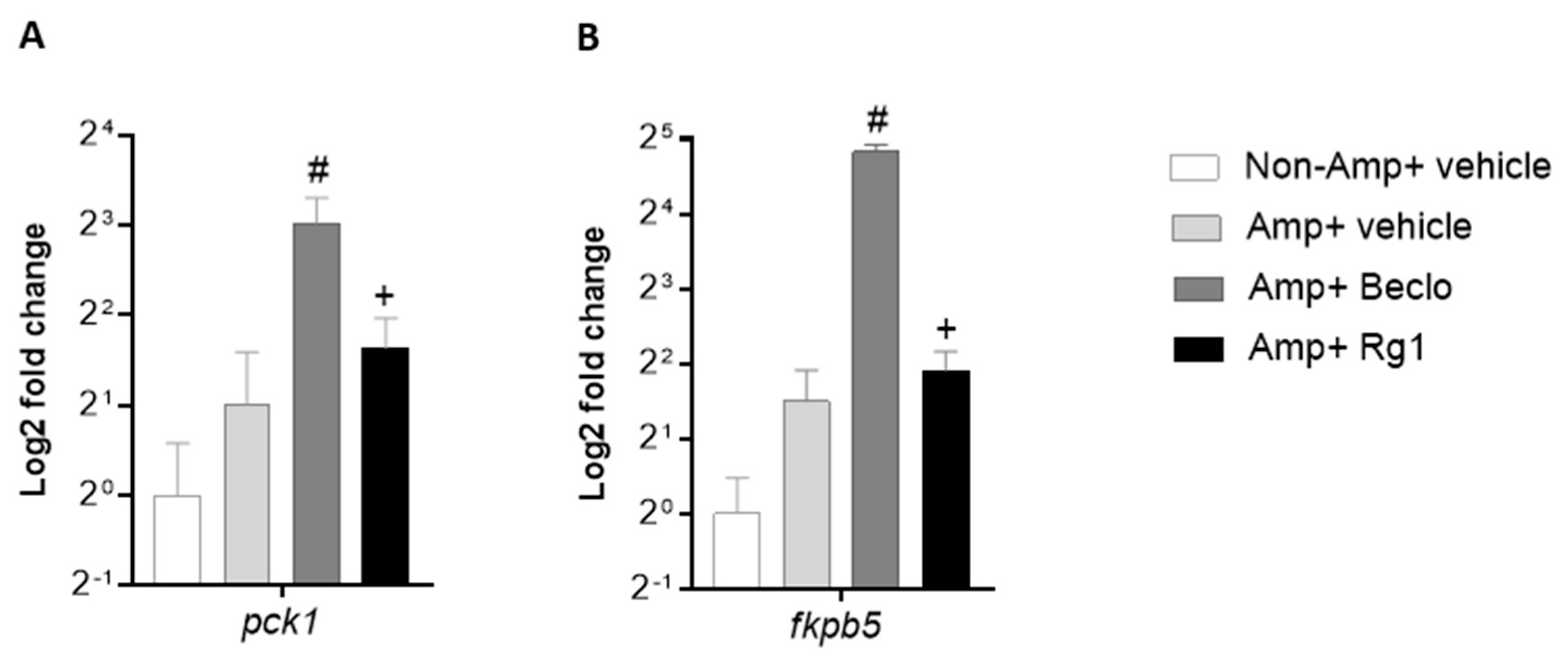 Cells 09 01107 g004 Cells 09 01107 g004