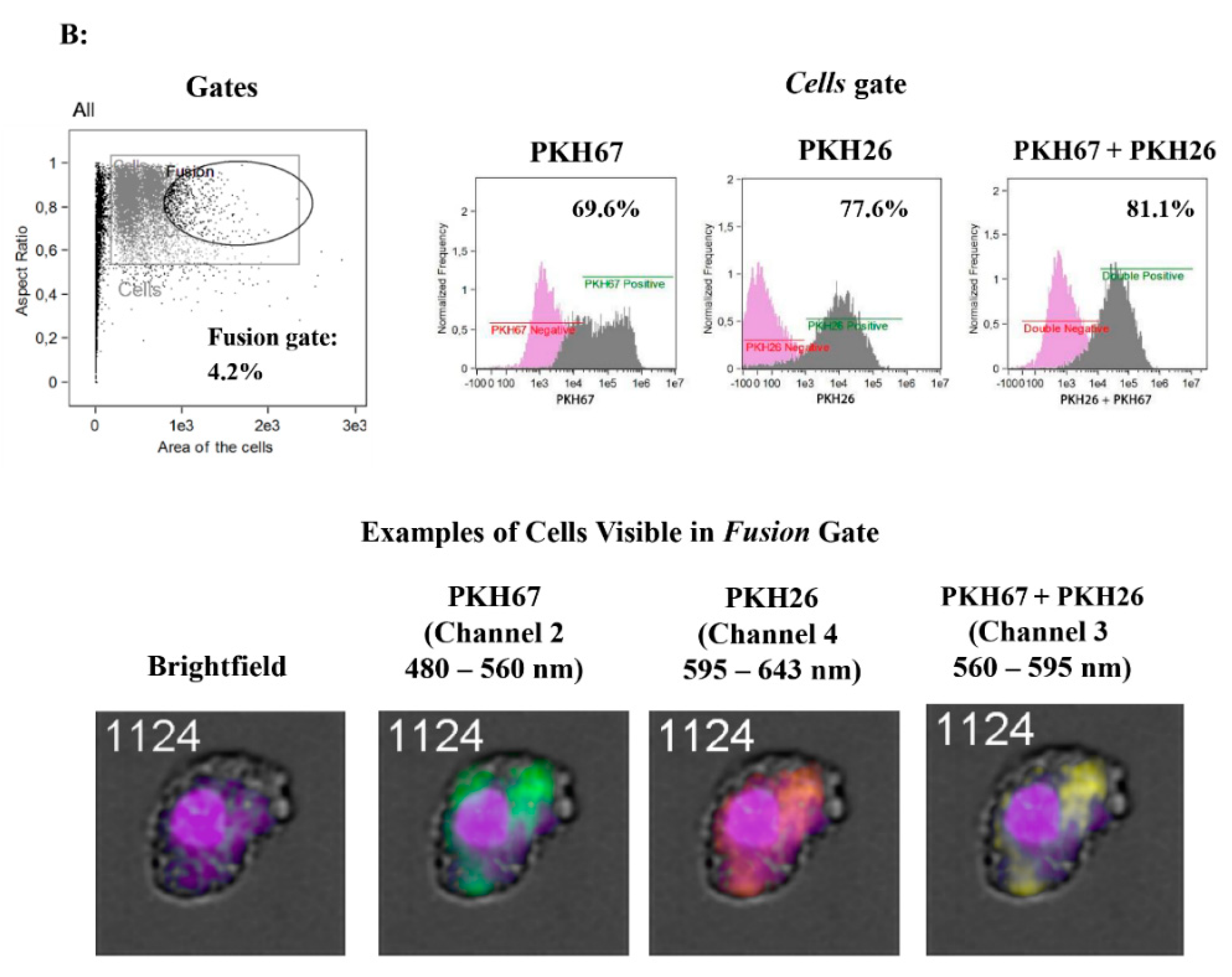 Cells 09 01119 g006b