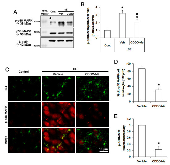 CDDO-Me Inhibits Microglial Activation and Monocyte