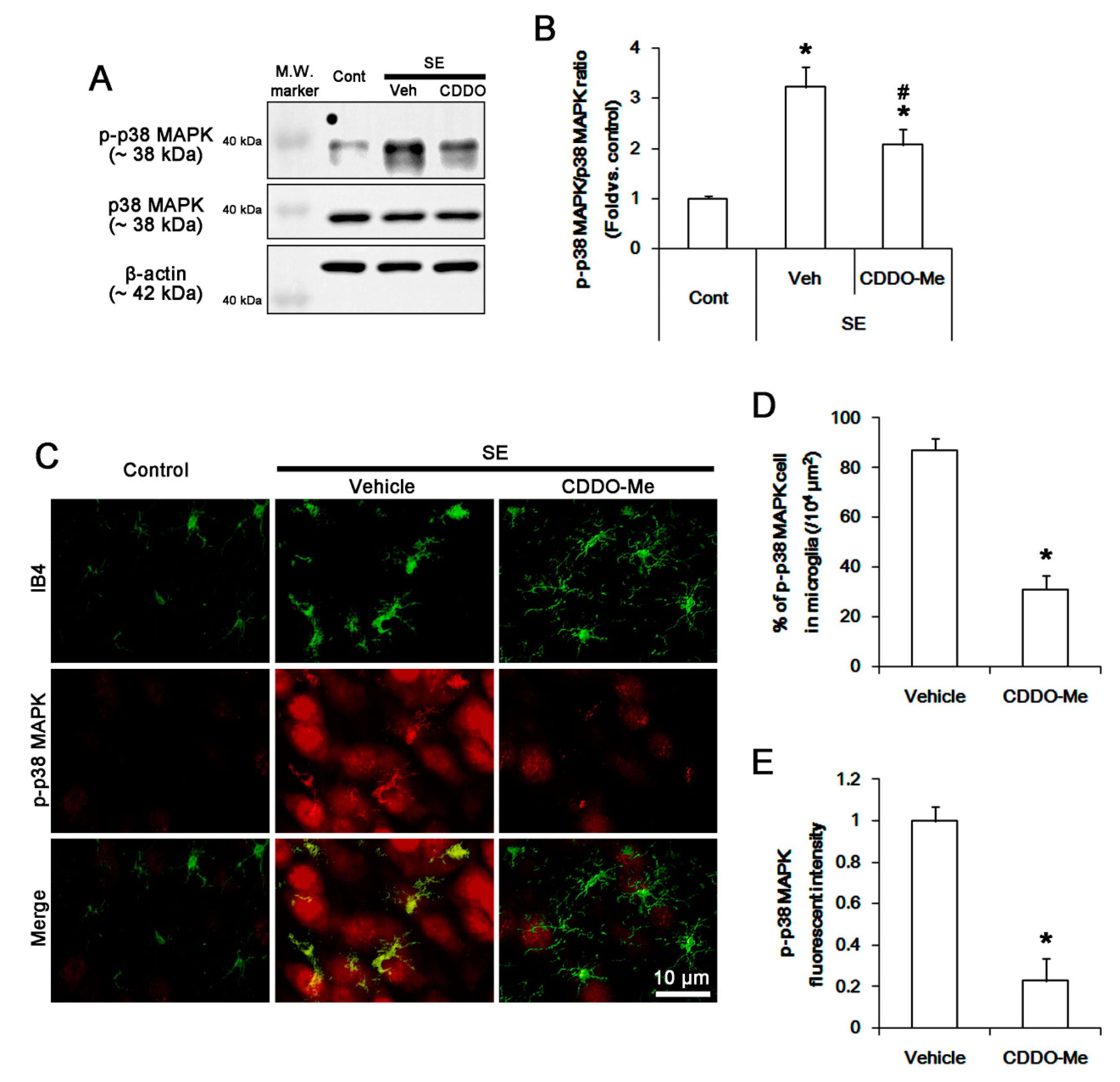Cells | Free Full-Text | CDDO-Me Inhibits Microglial Activation 