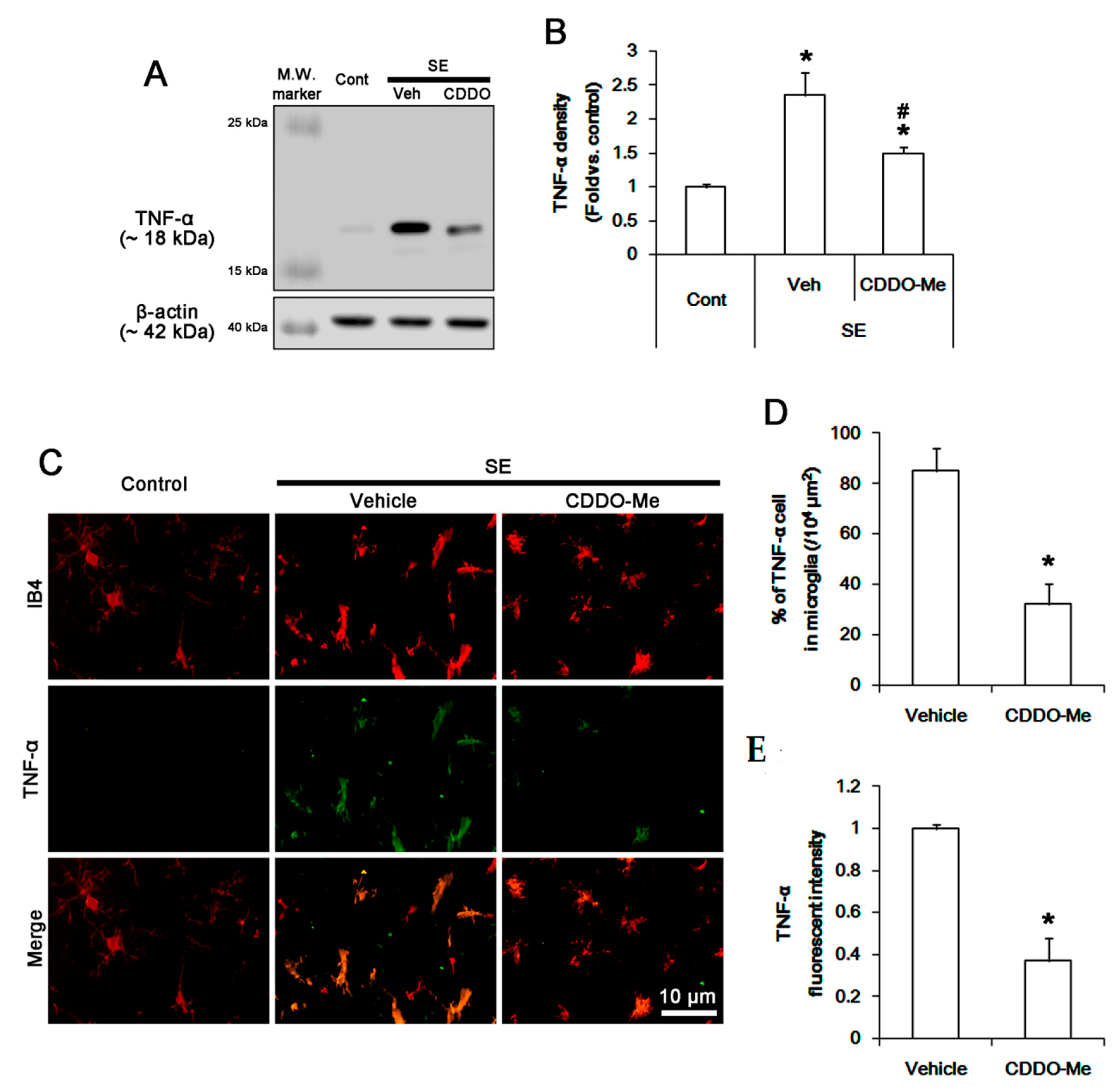 Cells 09 01123 g006 Cells 09 01123 g006