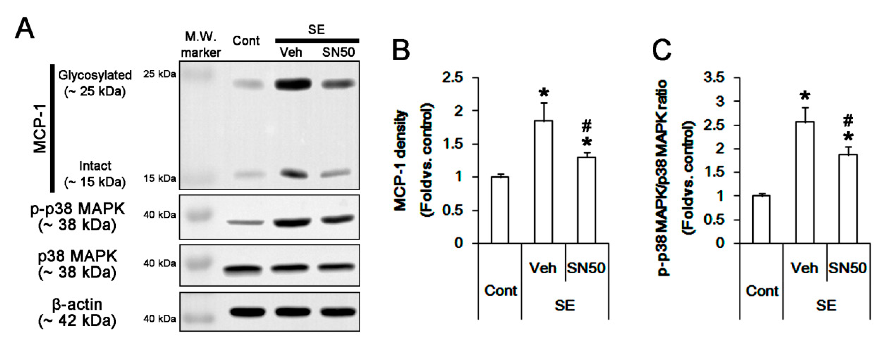 Cells | Free Full-Text | CDDO-Me Inhibits Microglial Activation 
