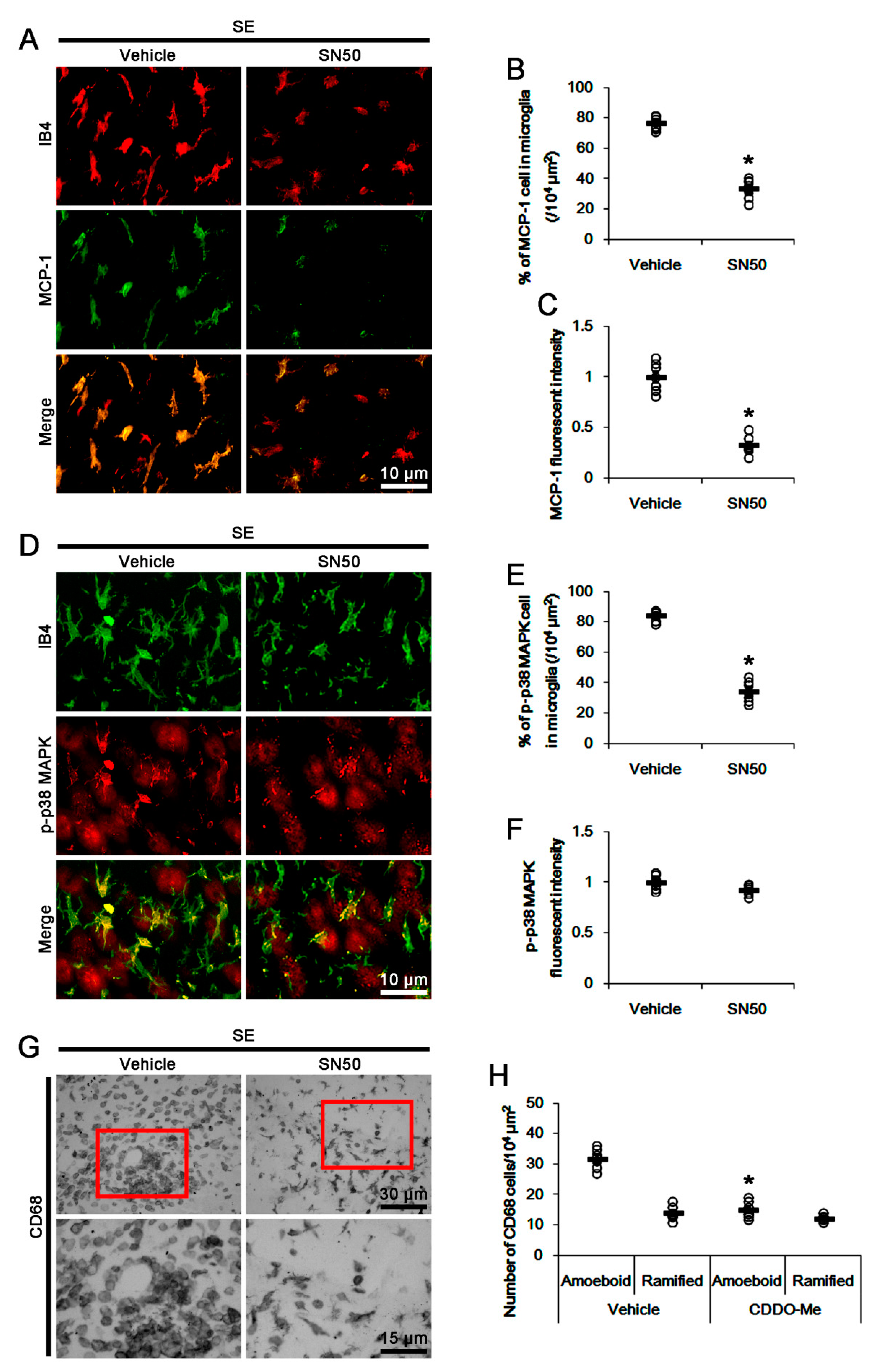 Cells 09 01123 g008 Cells 09 01123 g008