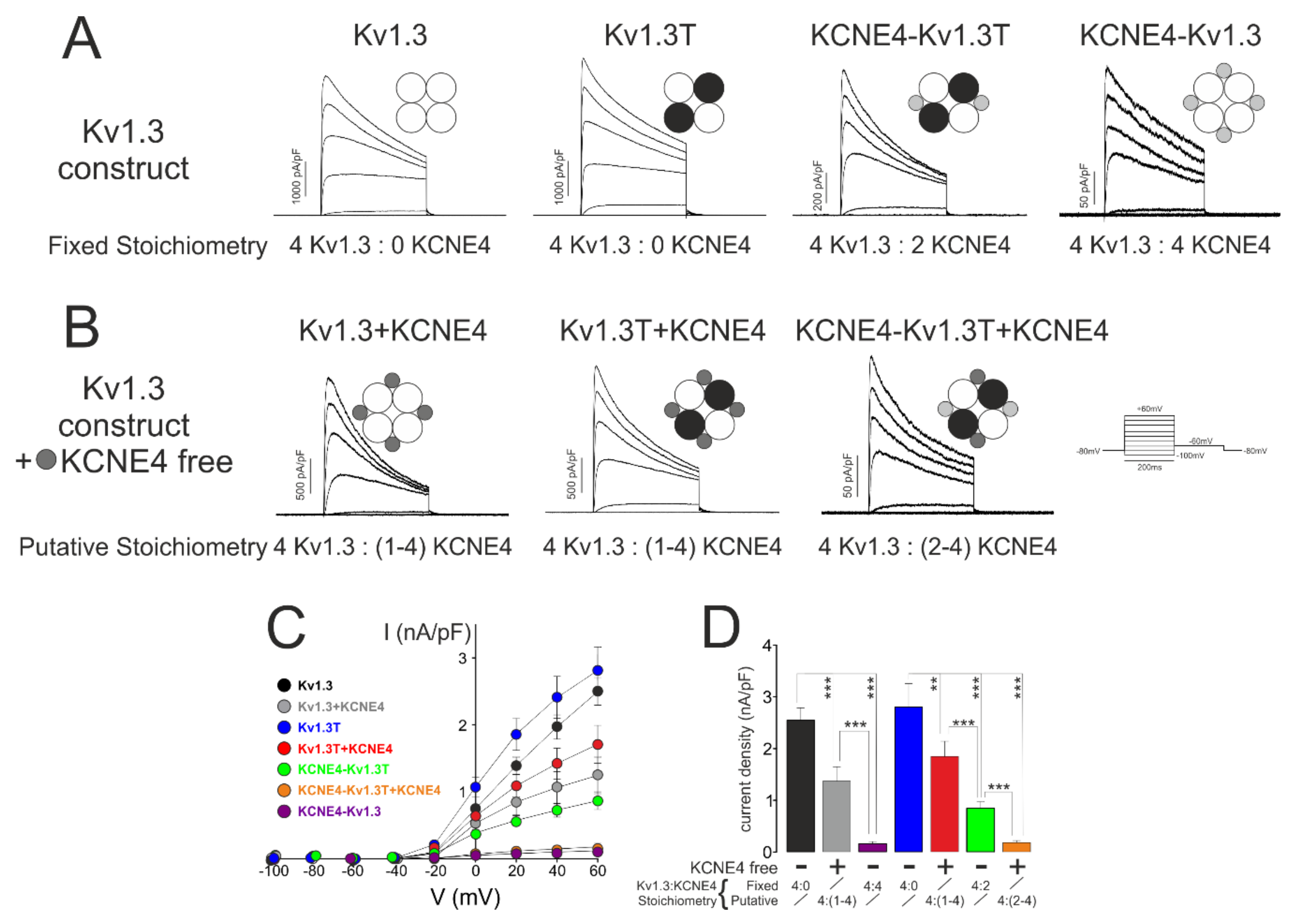 Cells 09 01128 g003 Cells 09 01128 g003