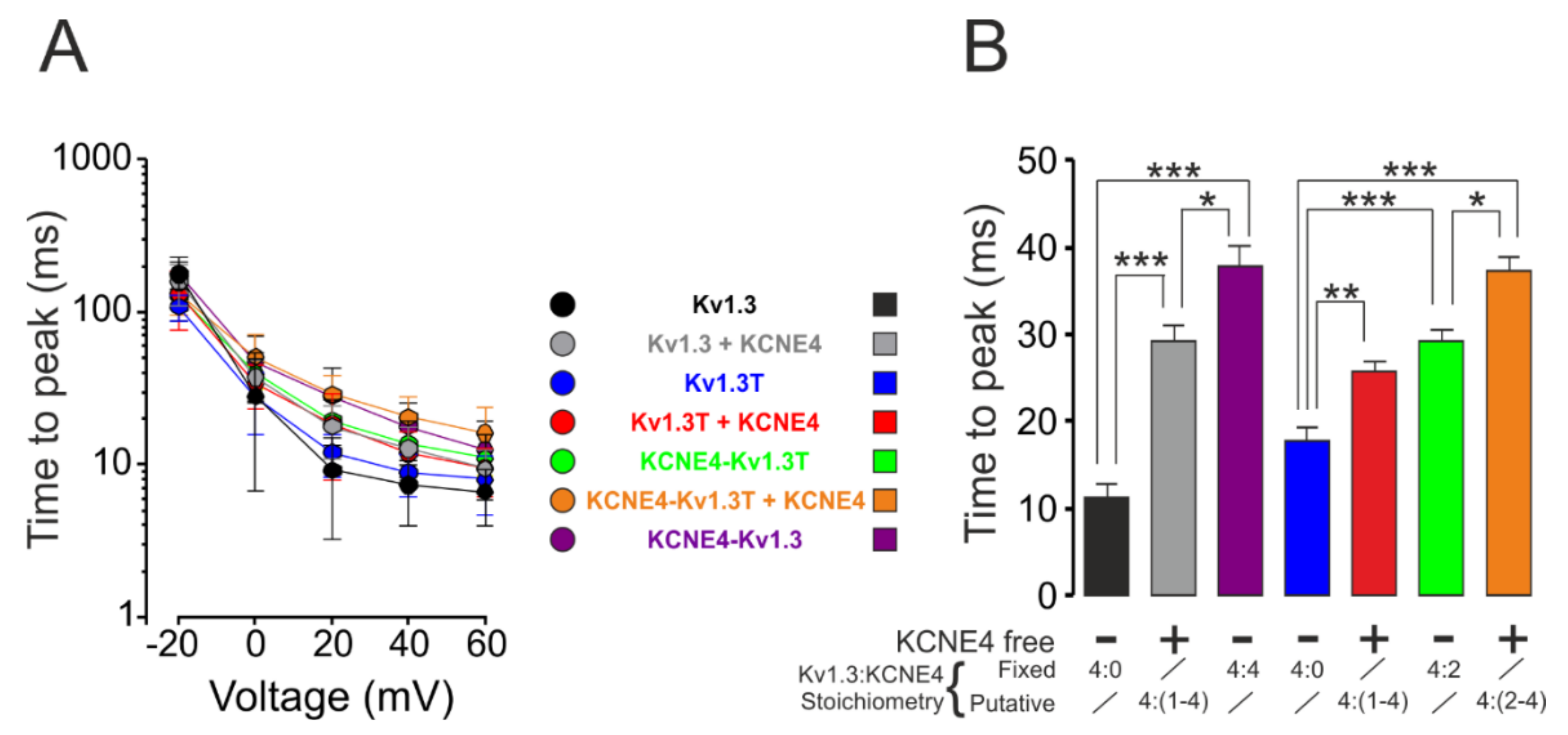 Cells 09 01128 g004 Cells 09 01128 g004