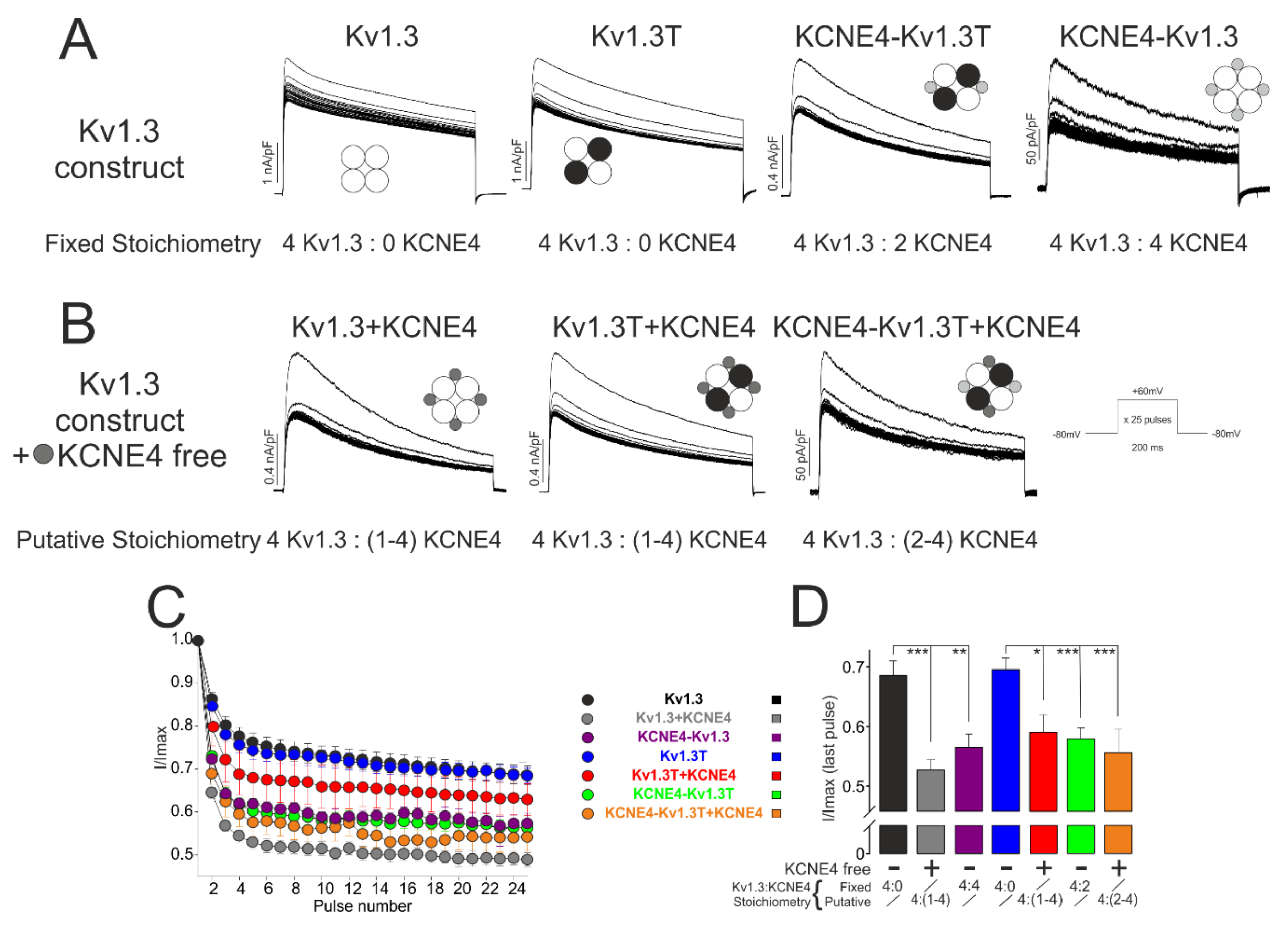 Cells 09 01128 g006 Cells 09 01128 g006