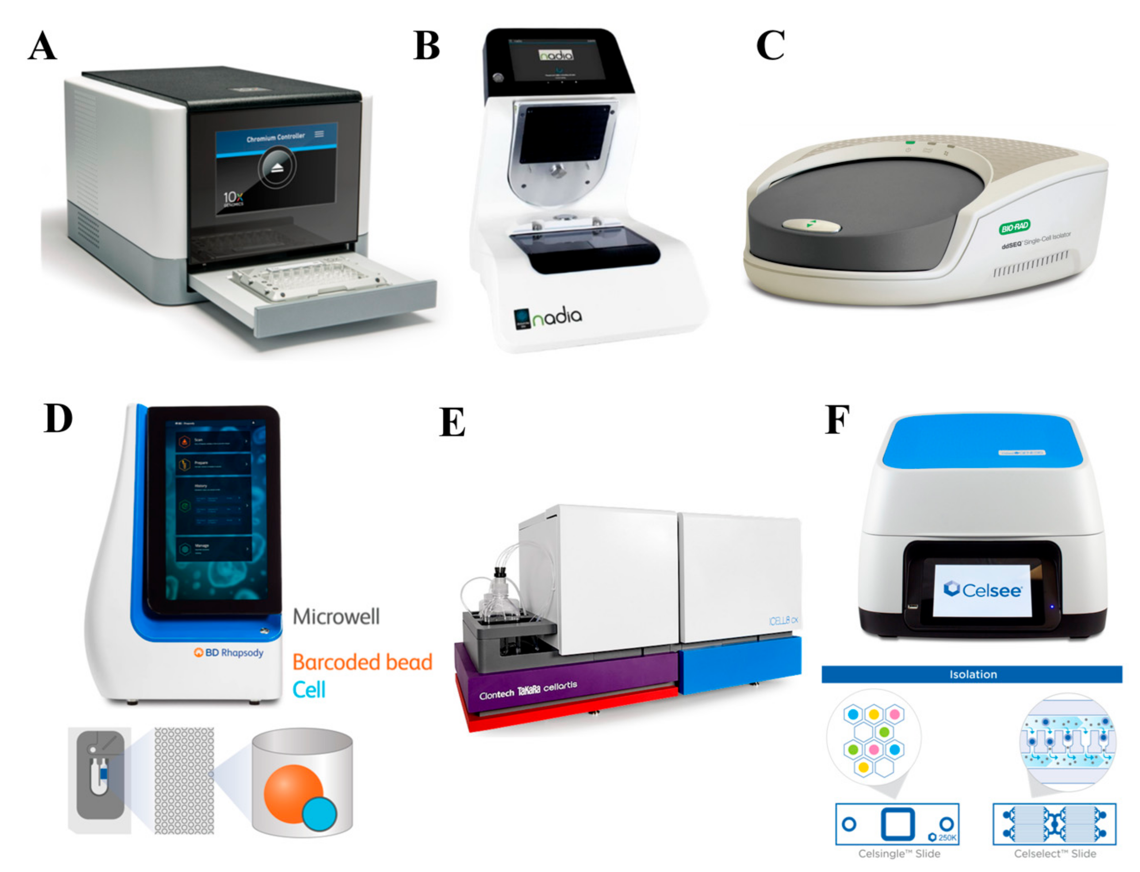 Cells 09 01130 g008 Cells 09 01130 g008