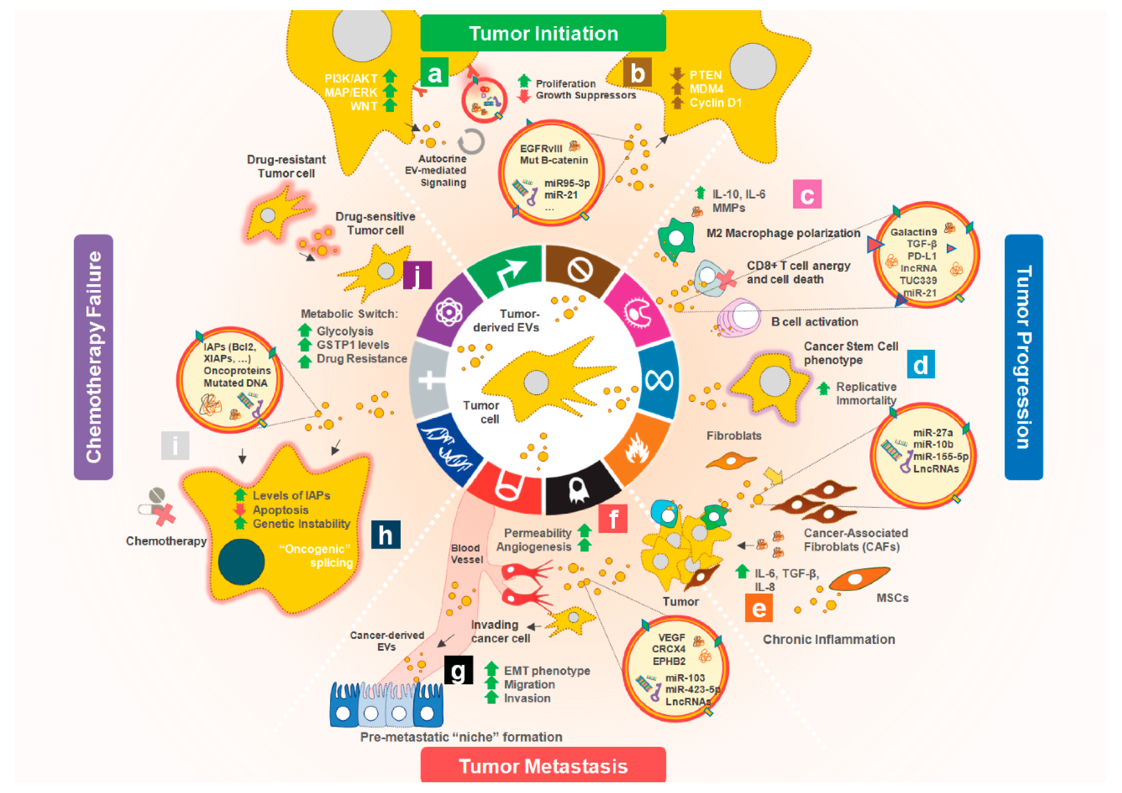 Cells 09 01141 g002 Cells 09 01141 g002