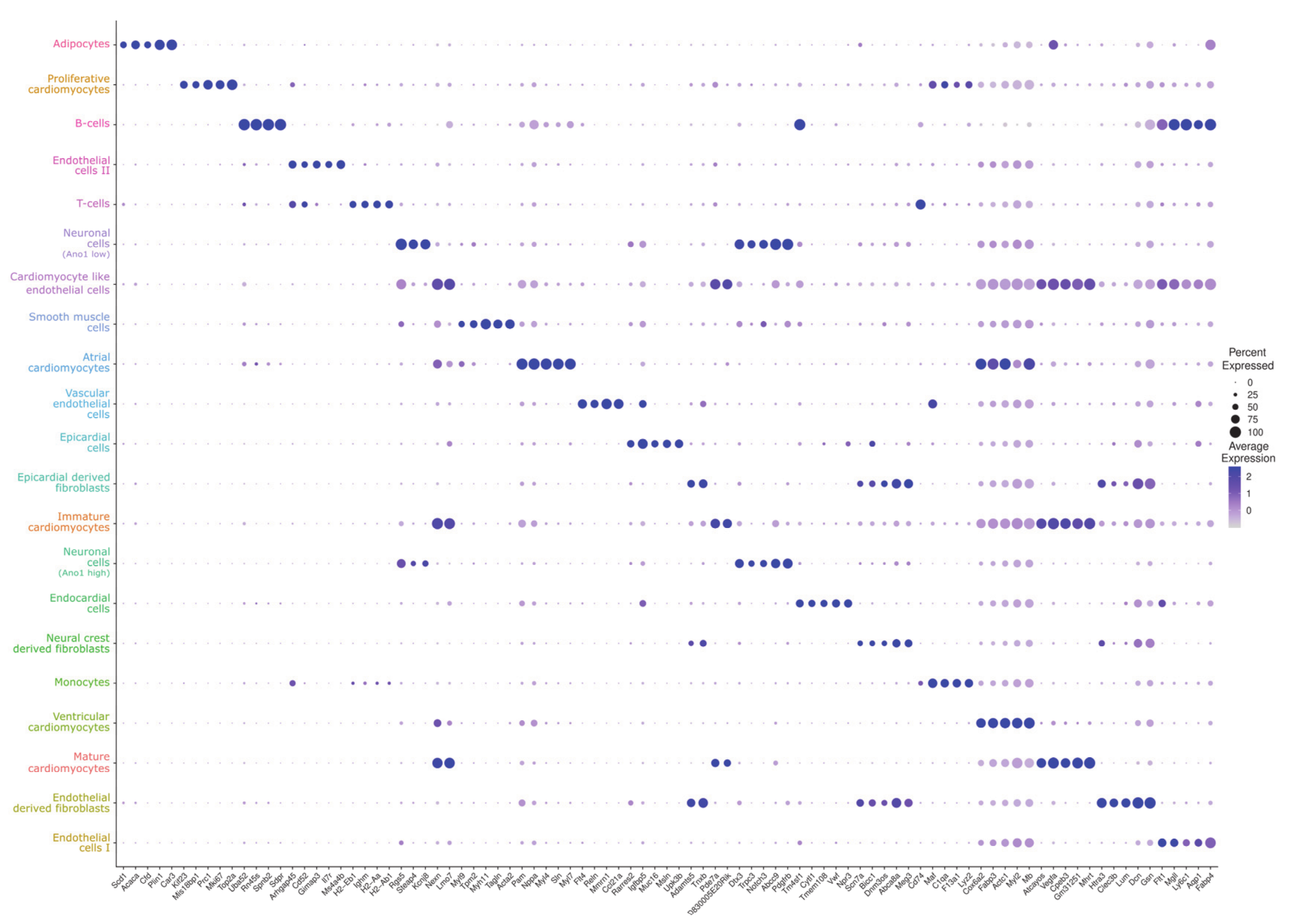 Cells 09 01144 g003 Cells 09 01144 g003