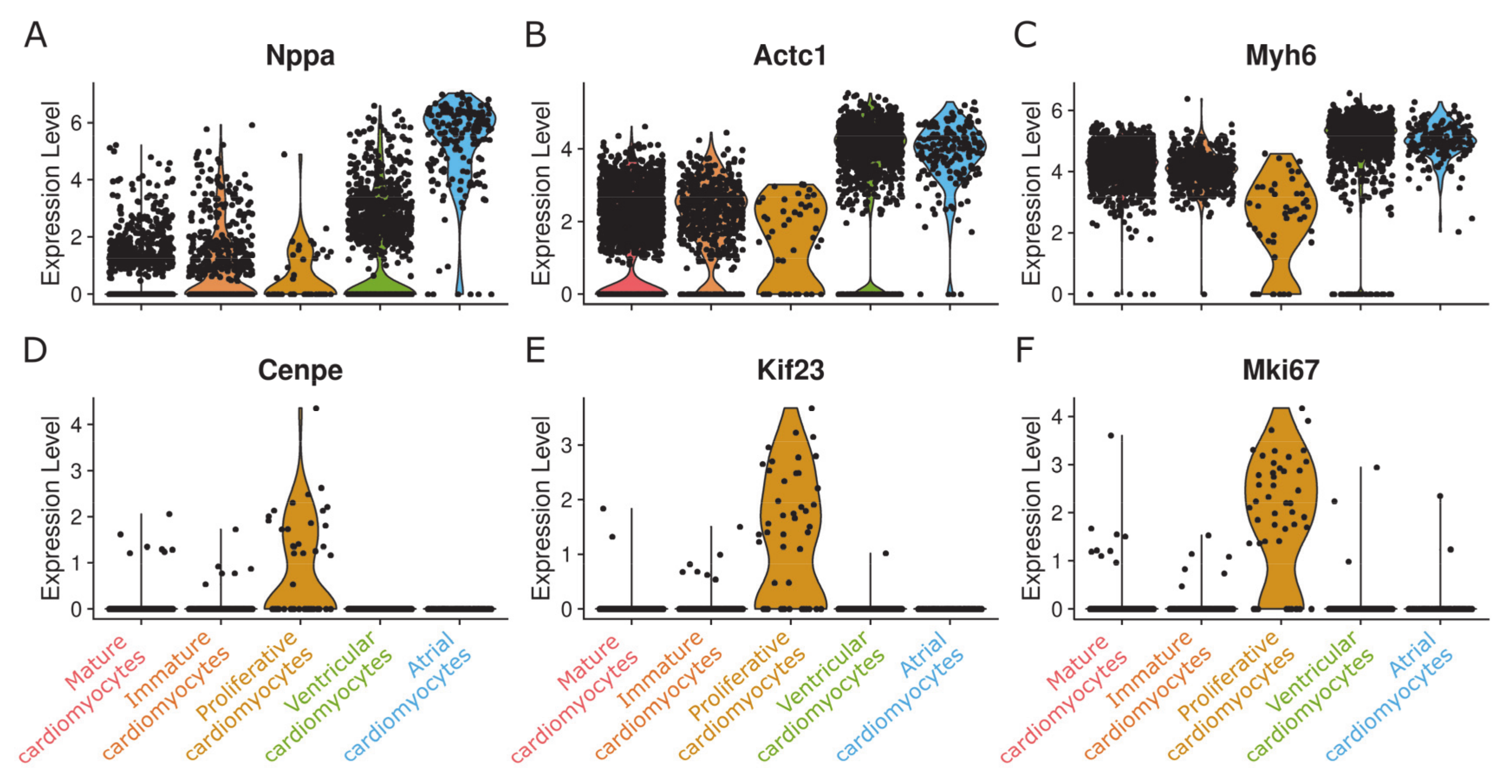 Cells 09 01144 g004 Cells 09 01144 g004