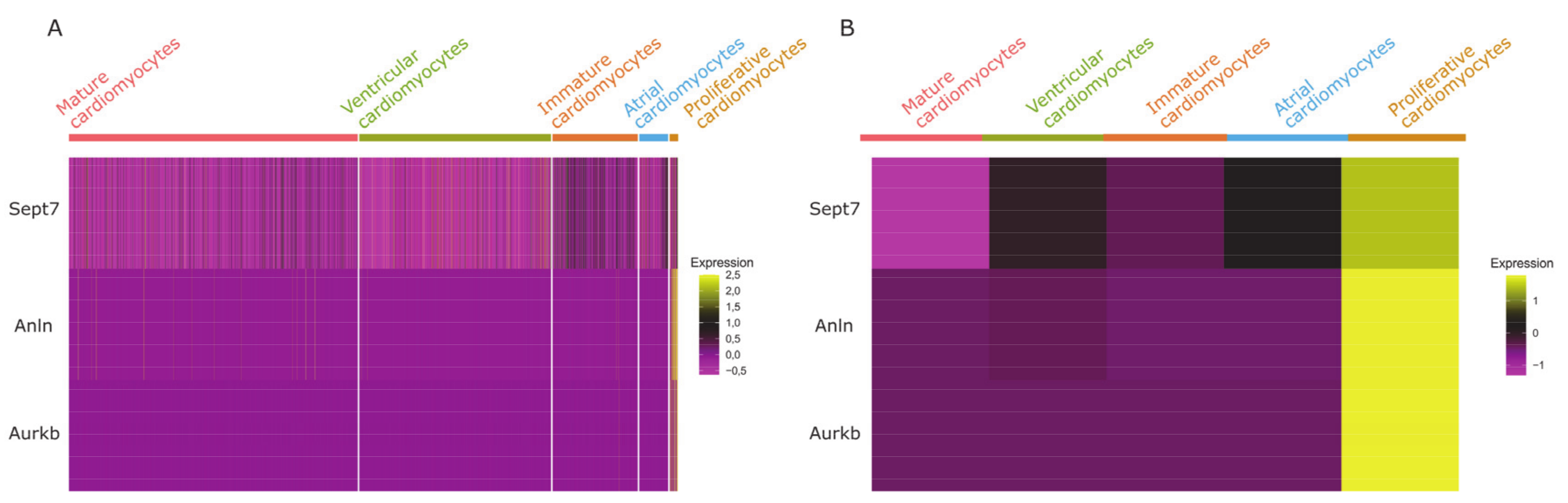 Cells 09 01144 g005 Cells 09 01144 g005