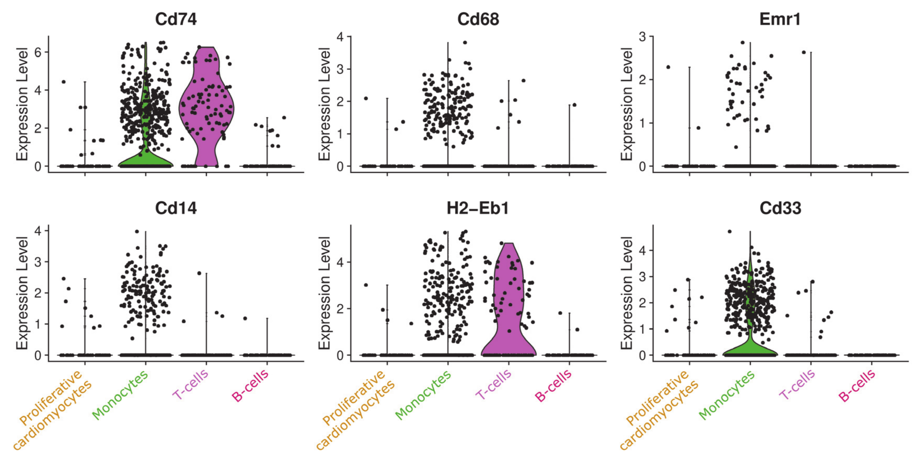 Cells 09 01144 g006 Cells 09 01144 g006
