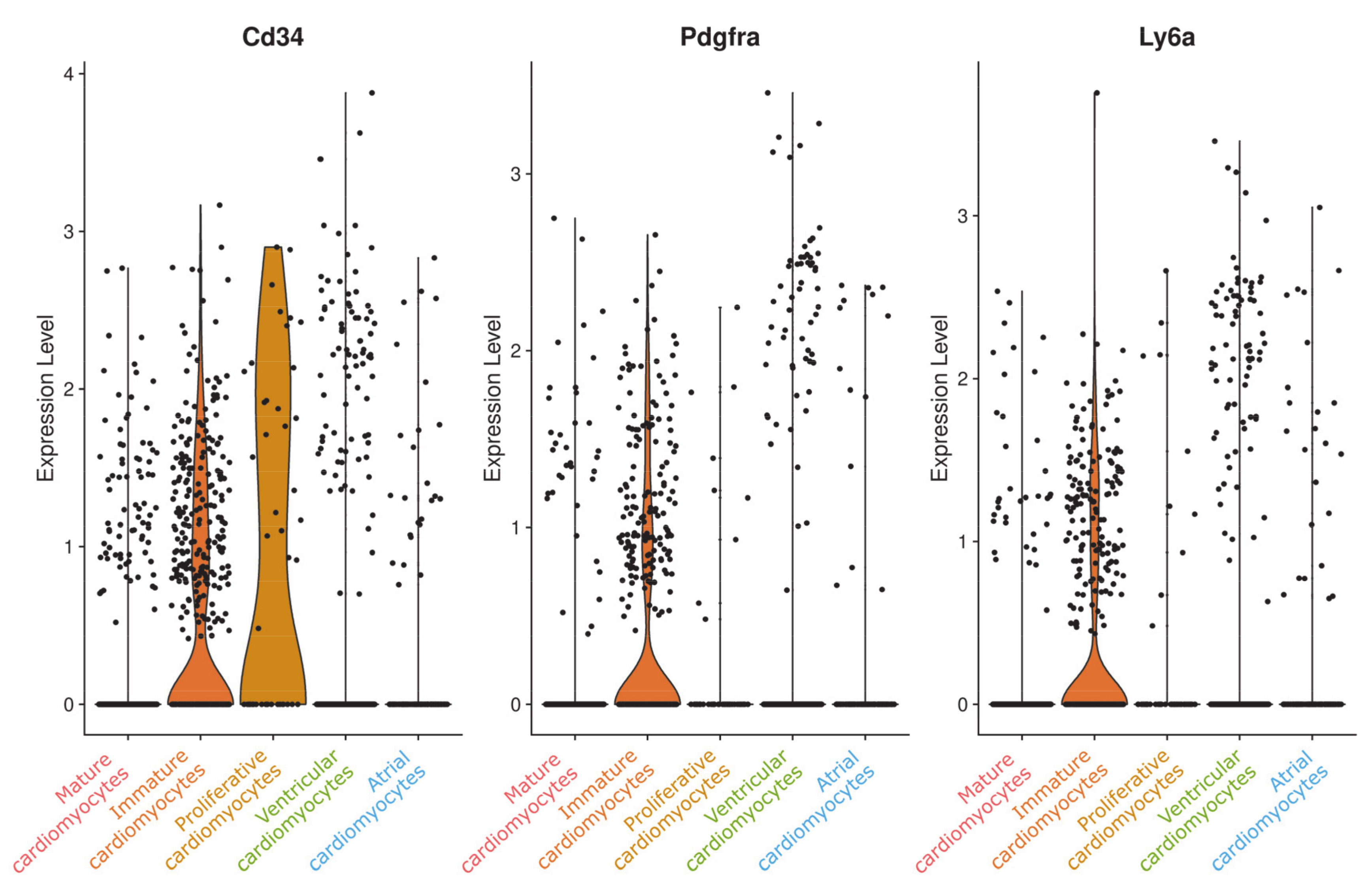 Cells 09 01144 g007 Cells 09 01144 g007