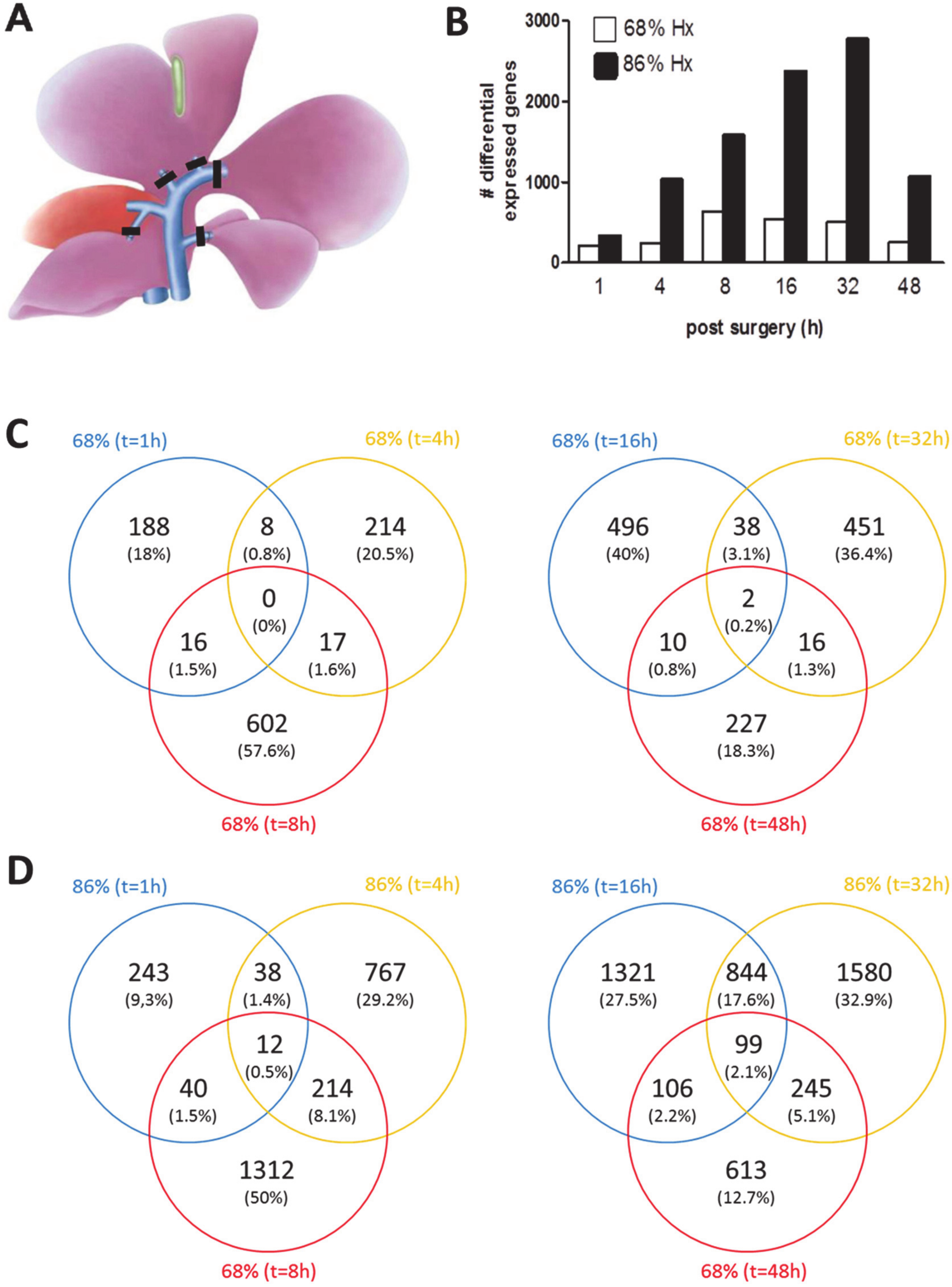 Cells 09 01149 g001 Cells 09 01149 g001