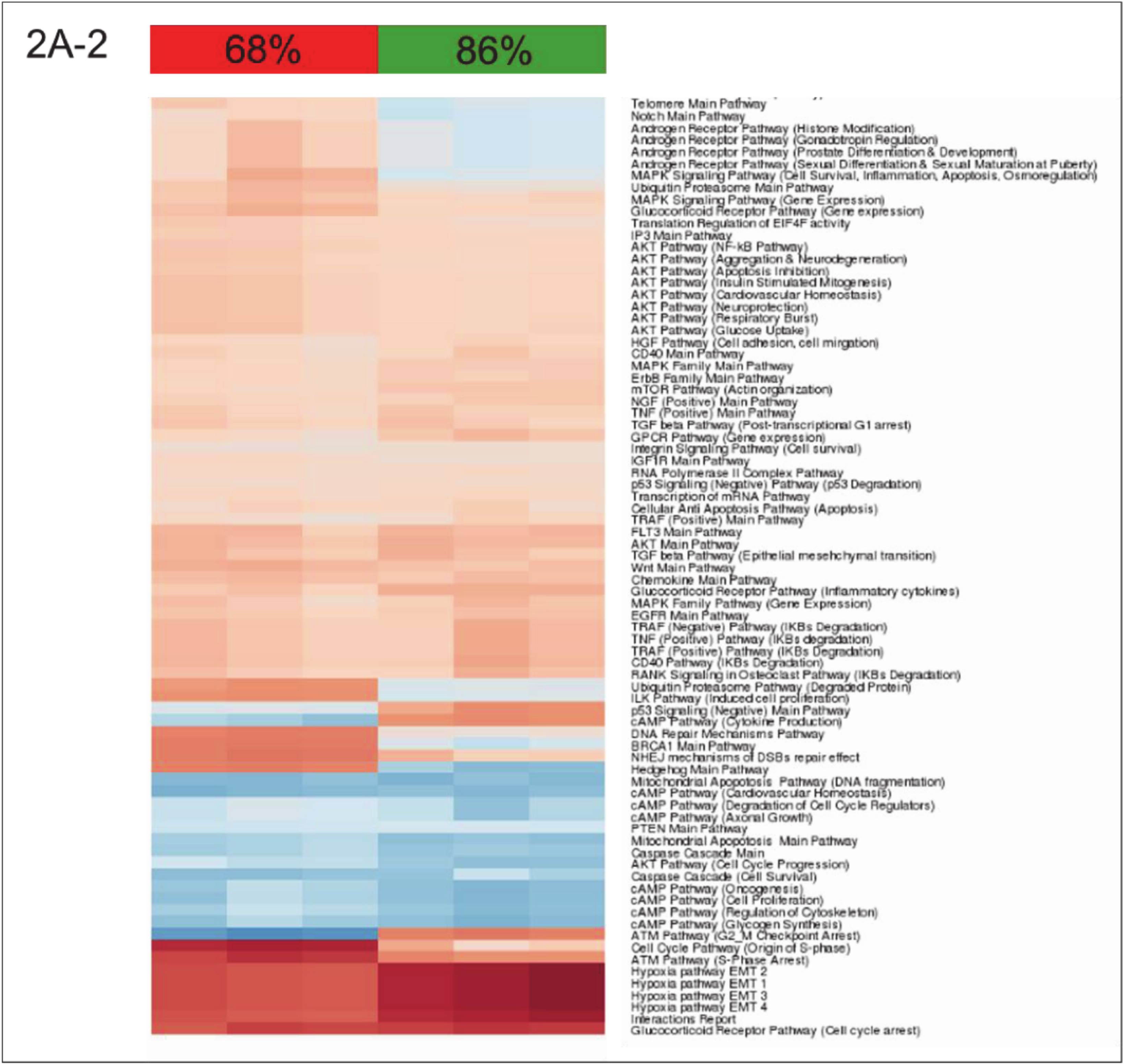 Cells 09 01149 g002b Cells 09 01149 g002b