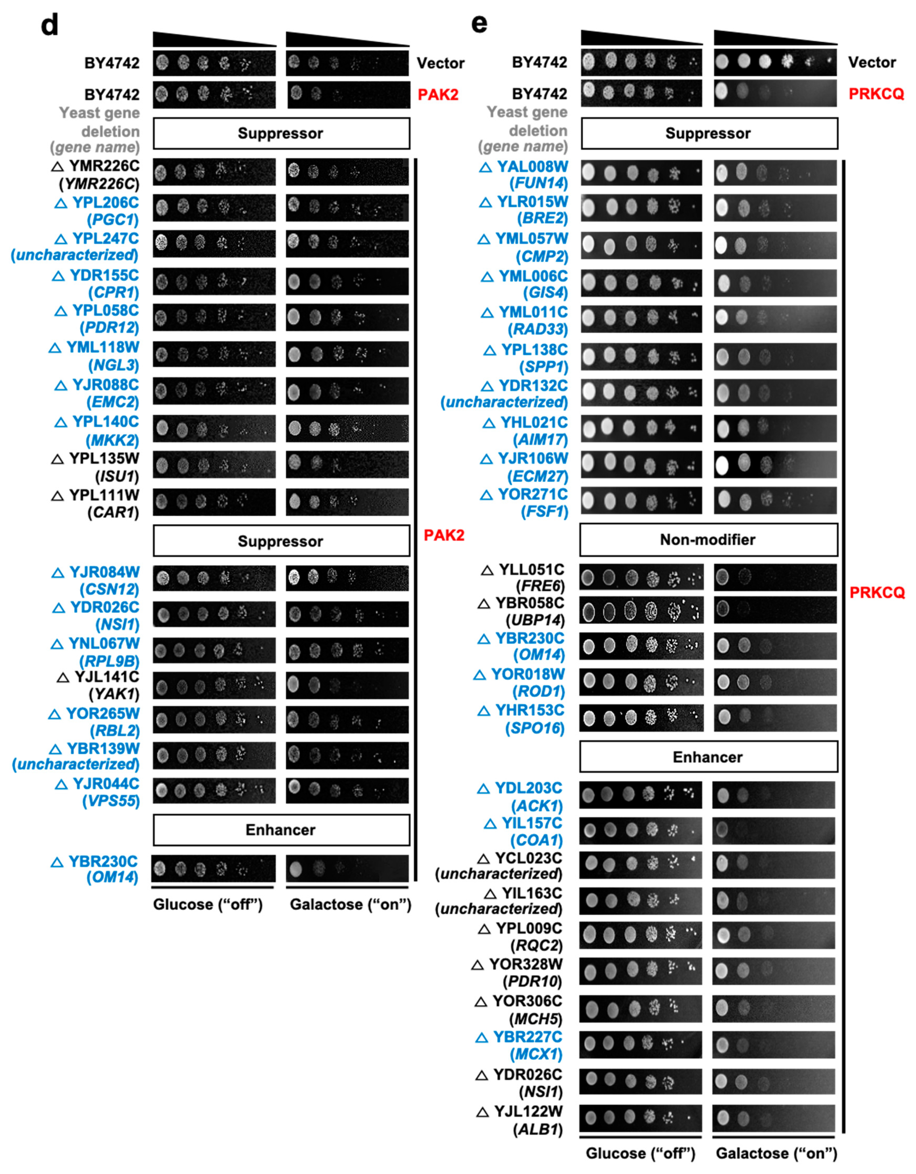 Cells 09 01156 g003c Cells 09 01156 g003c
