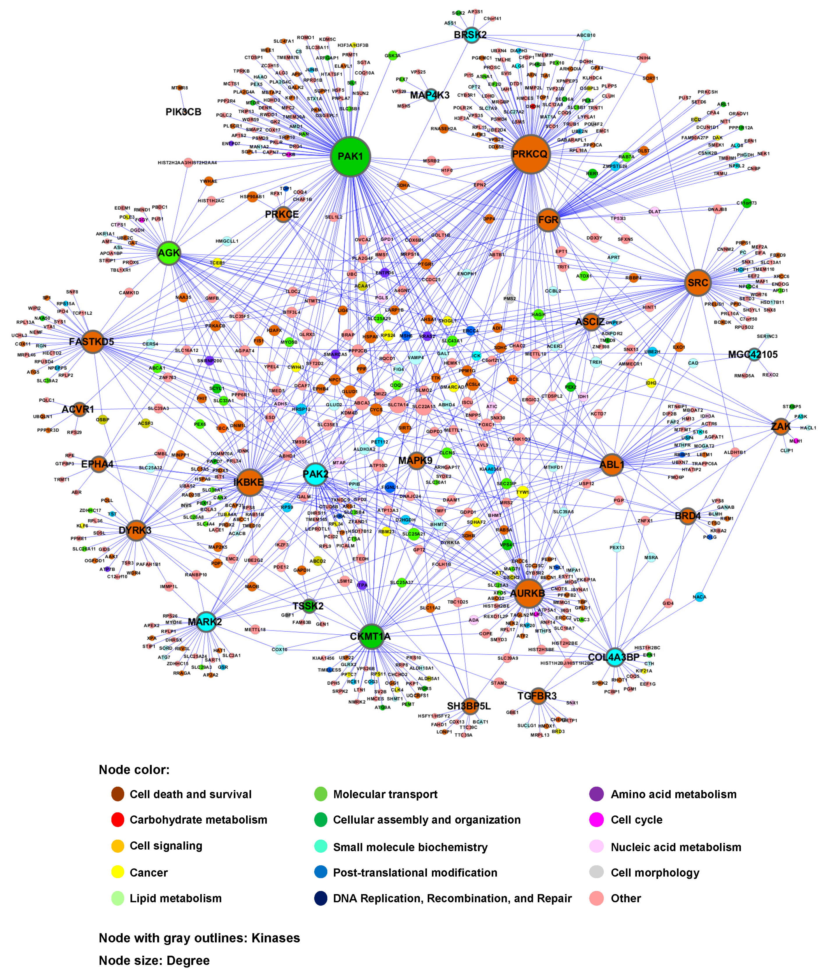Cells 09 01156 g004 Cells 09 01156 g004