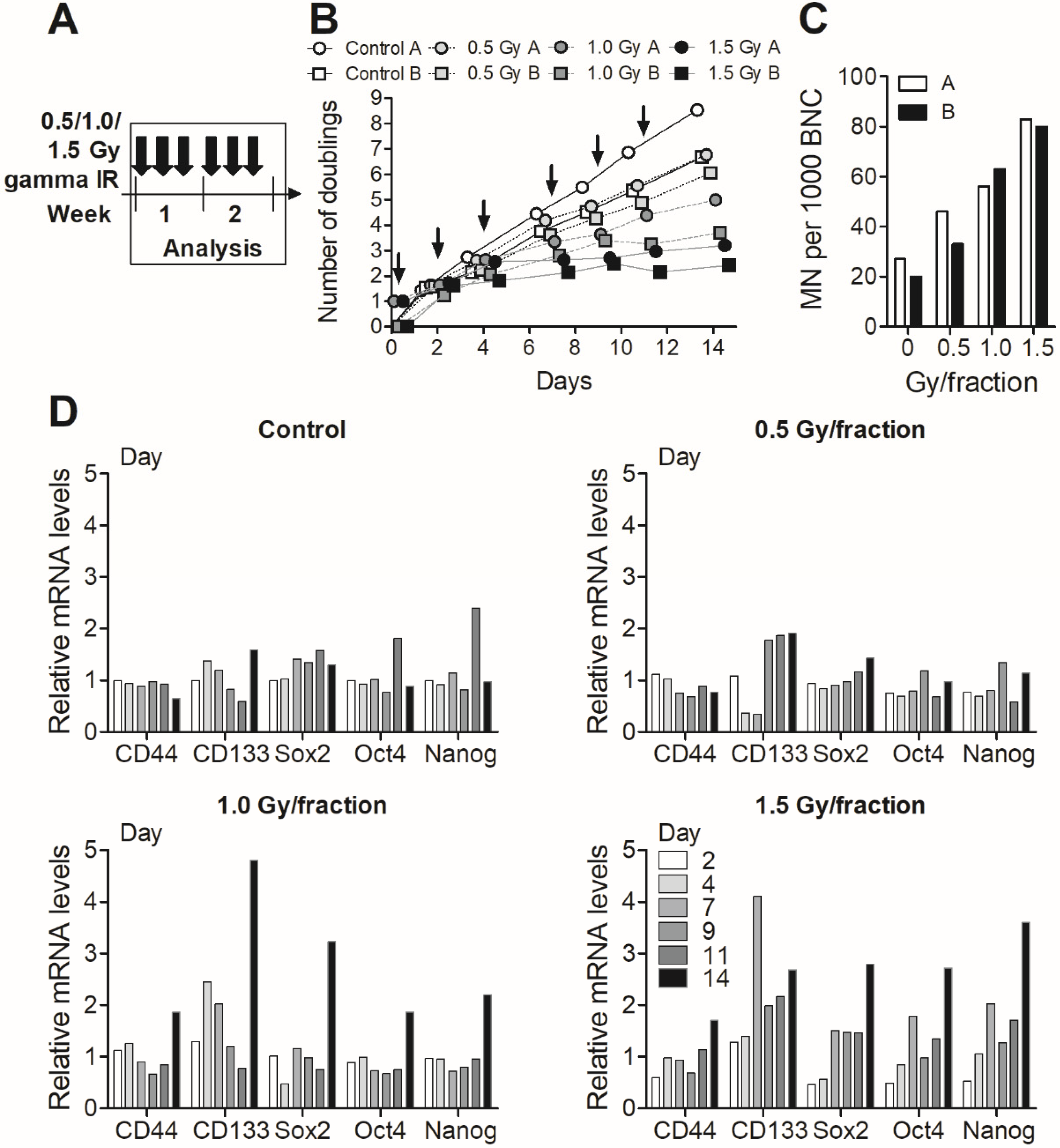 Cells 09 01165 g003 Cells 09 01165 g003