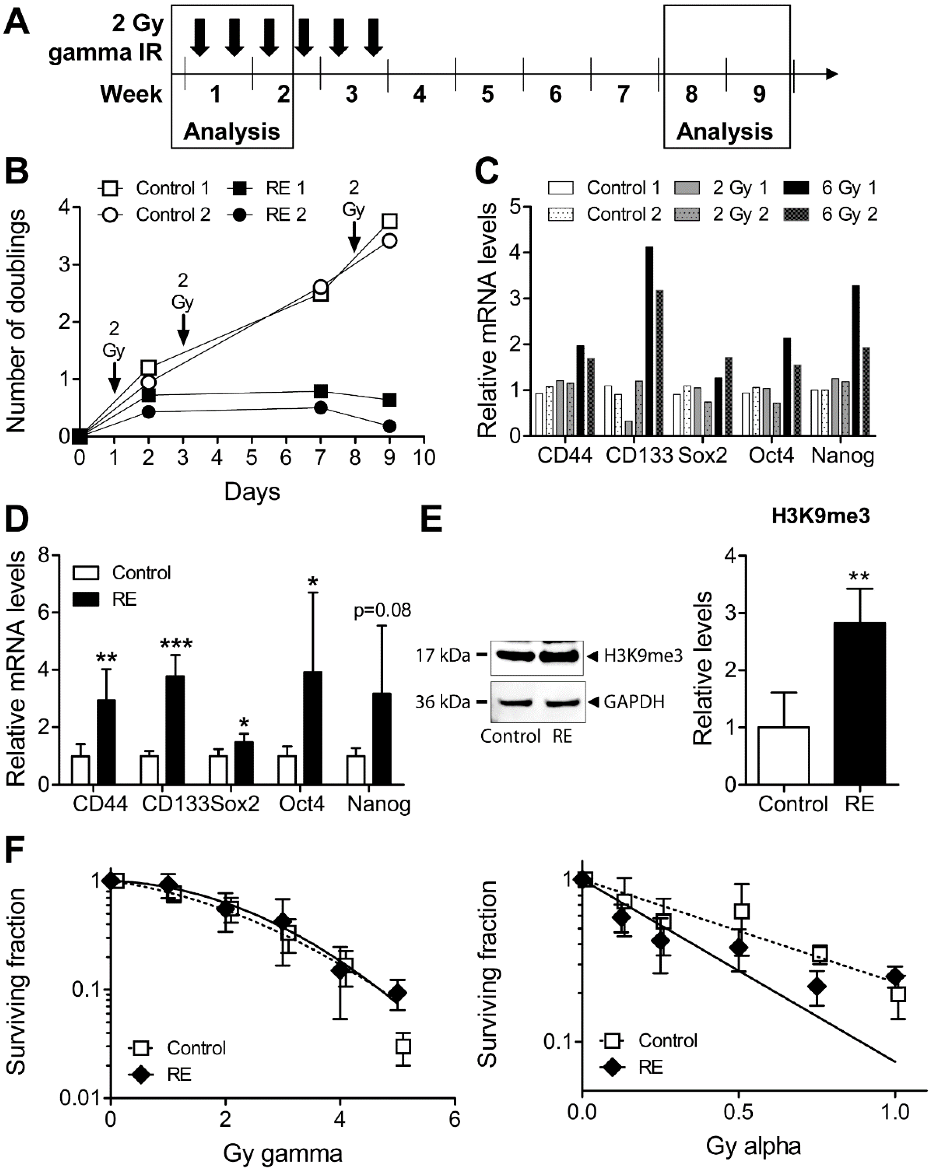 Cells 09 01165 g004 Cells 09 01165 g004