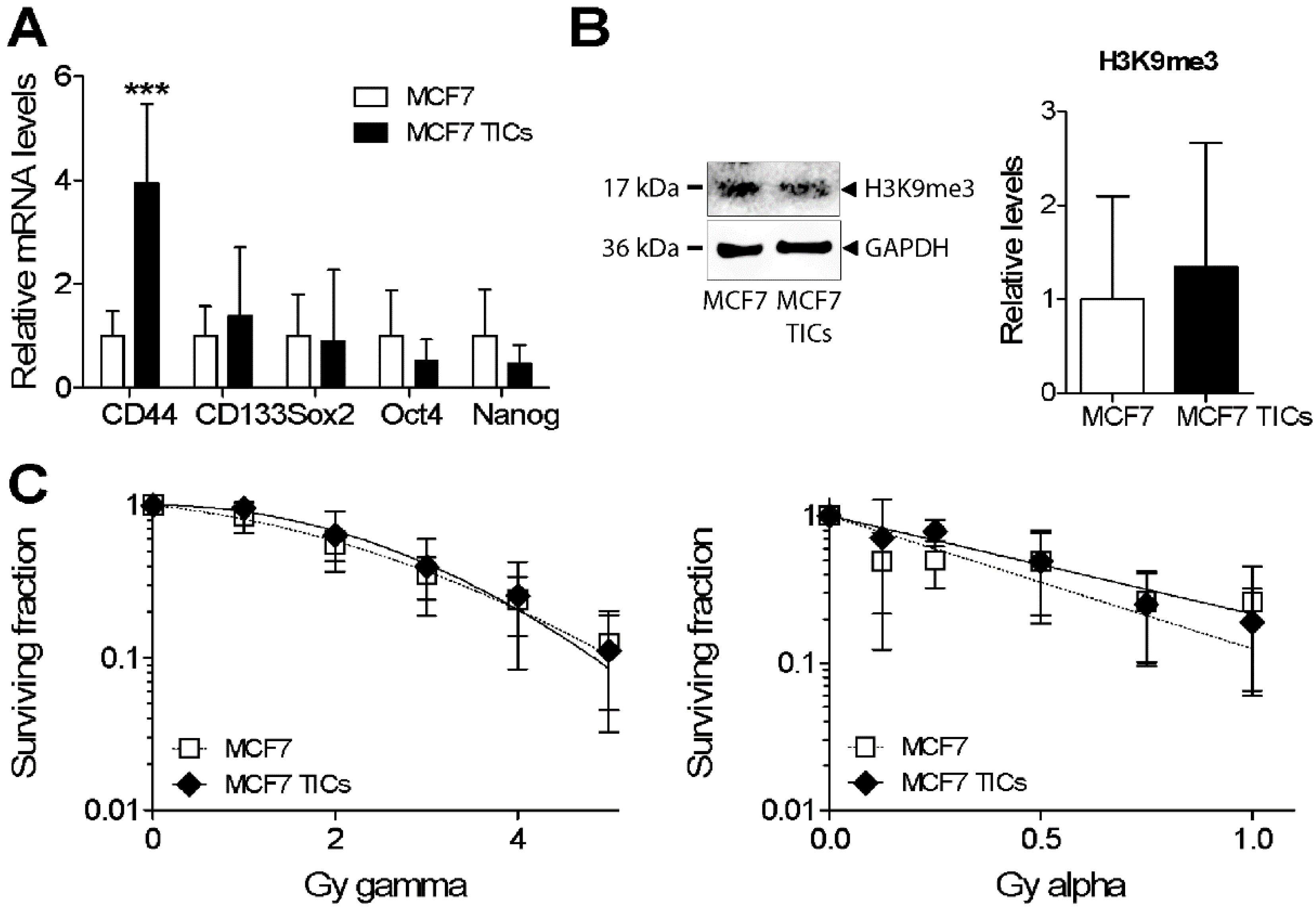 Cells 09 01165 g005 Cells 09 01165 g005