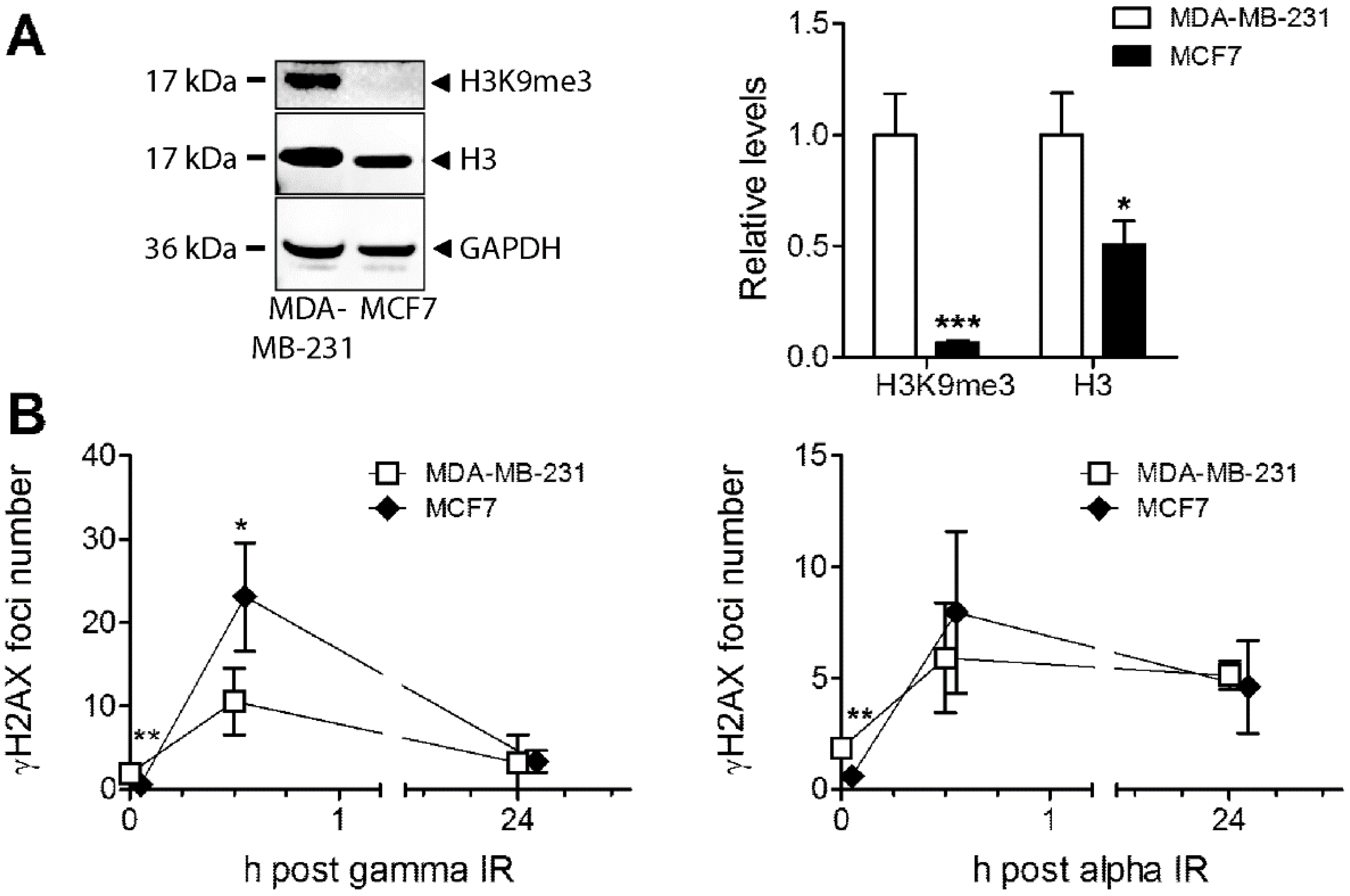 Cells 09 01165 g006 Cells 09 01165 g006