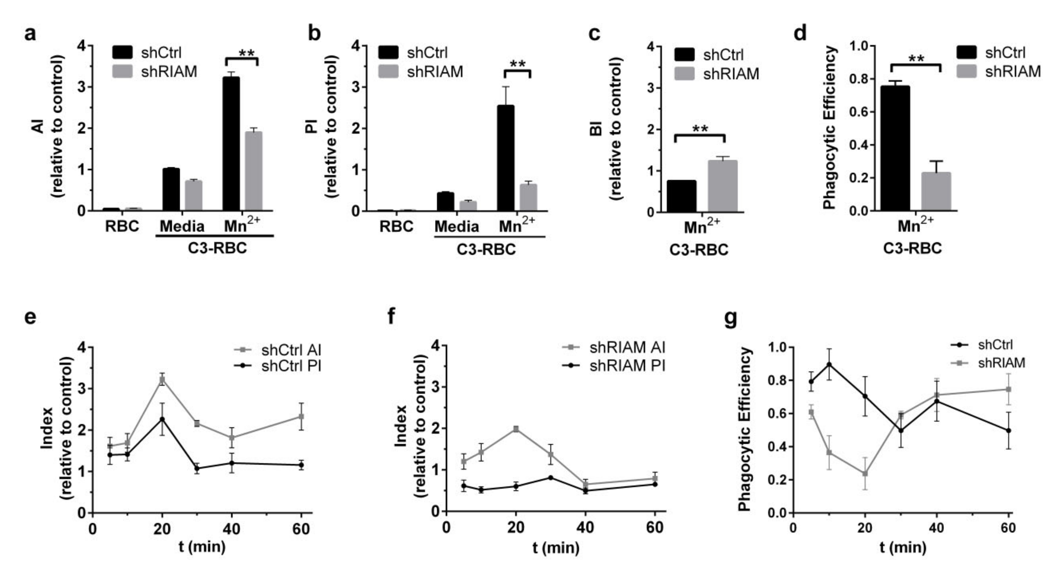 Cells 09 01166 g001 Cells 09 01166 g001