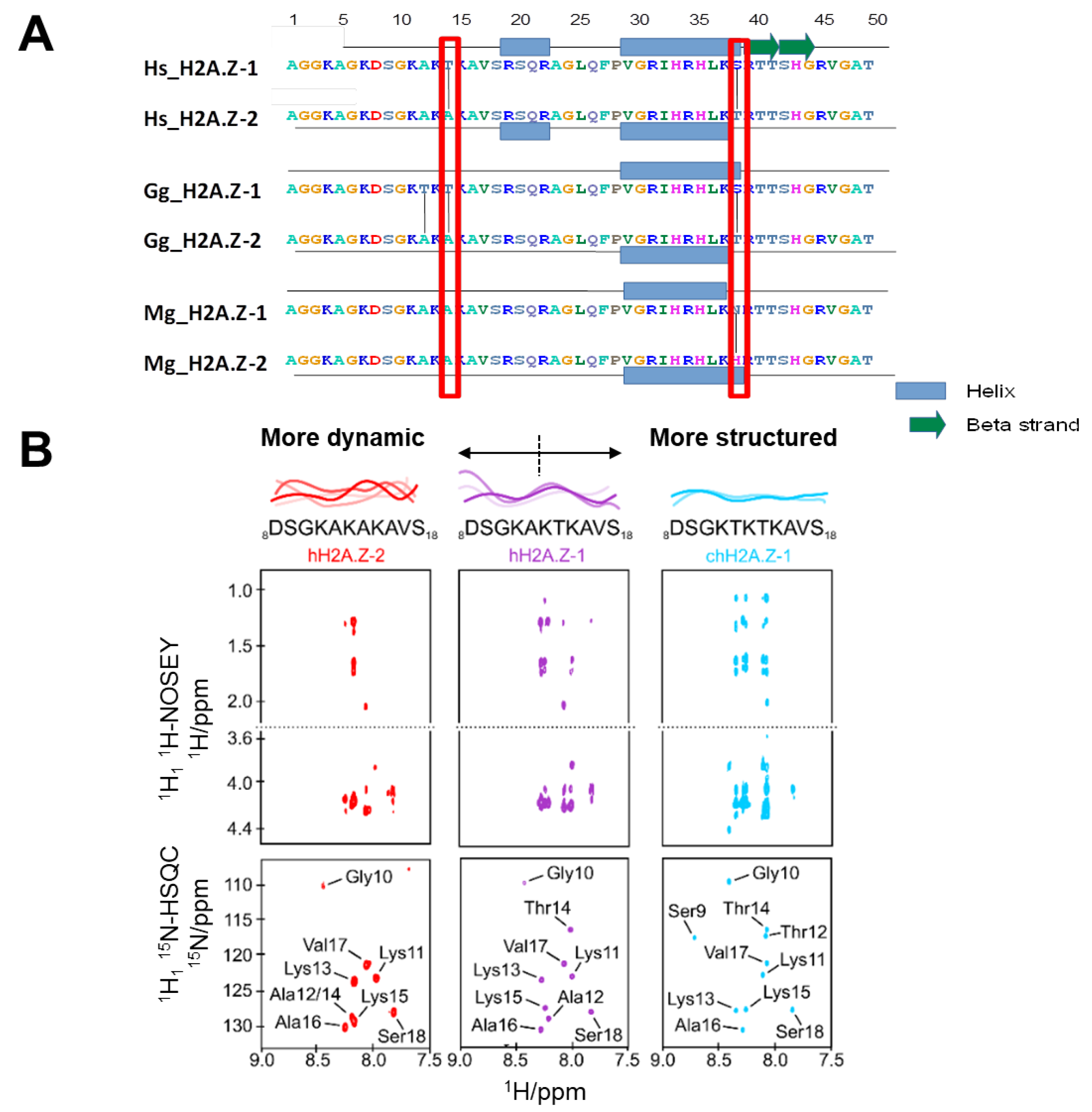 Cells 09 01167 g003 Cells 09 01167 g003