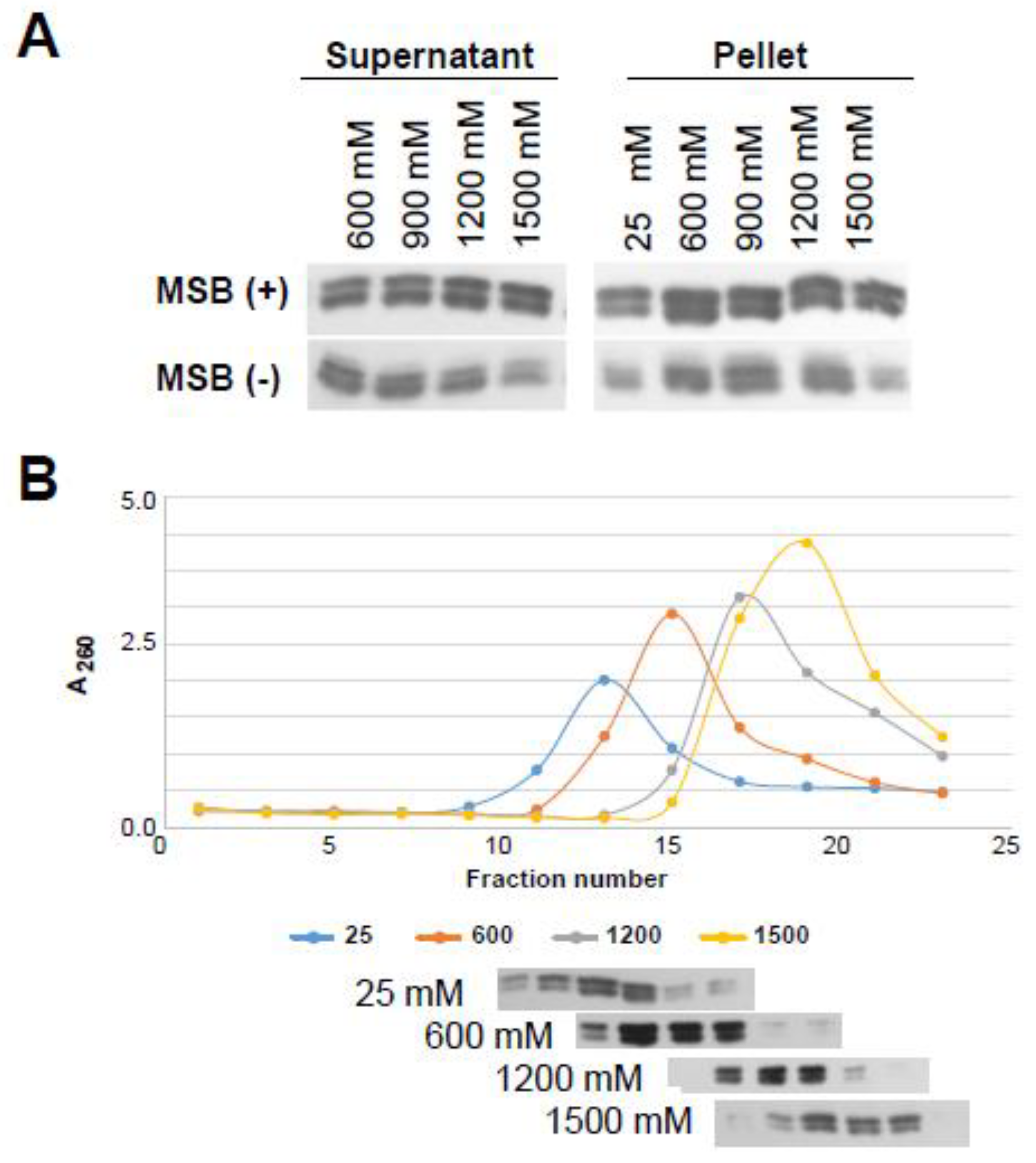 Cells 09 01167 g007 Cells 09 01167 g007