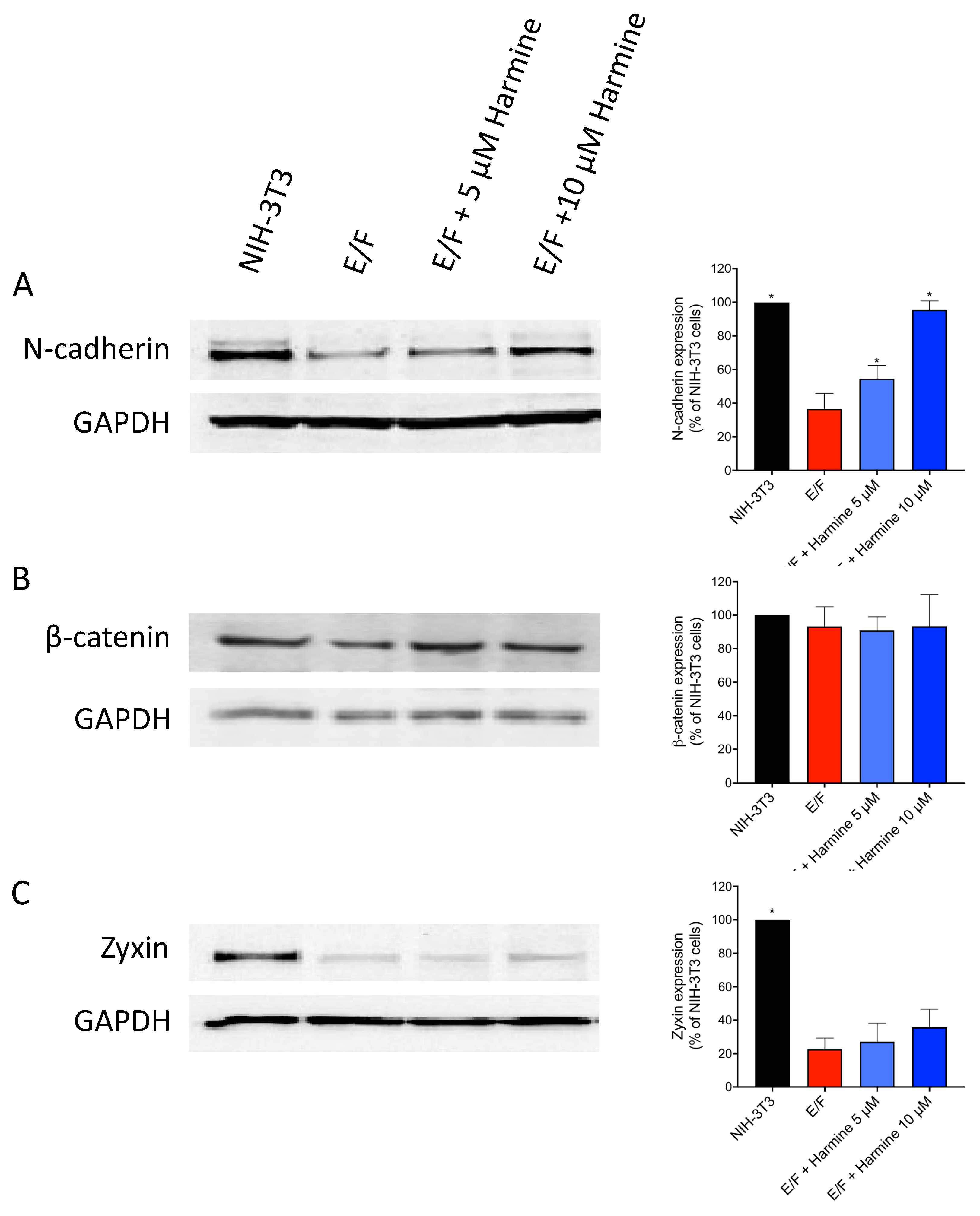 Cells 09 01168 g003 Cells 09 01168 g003