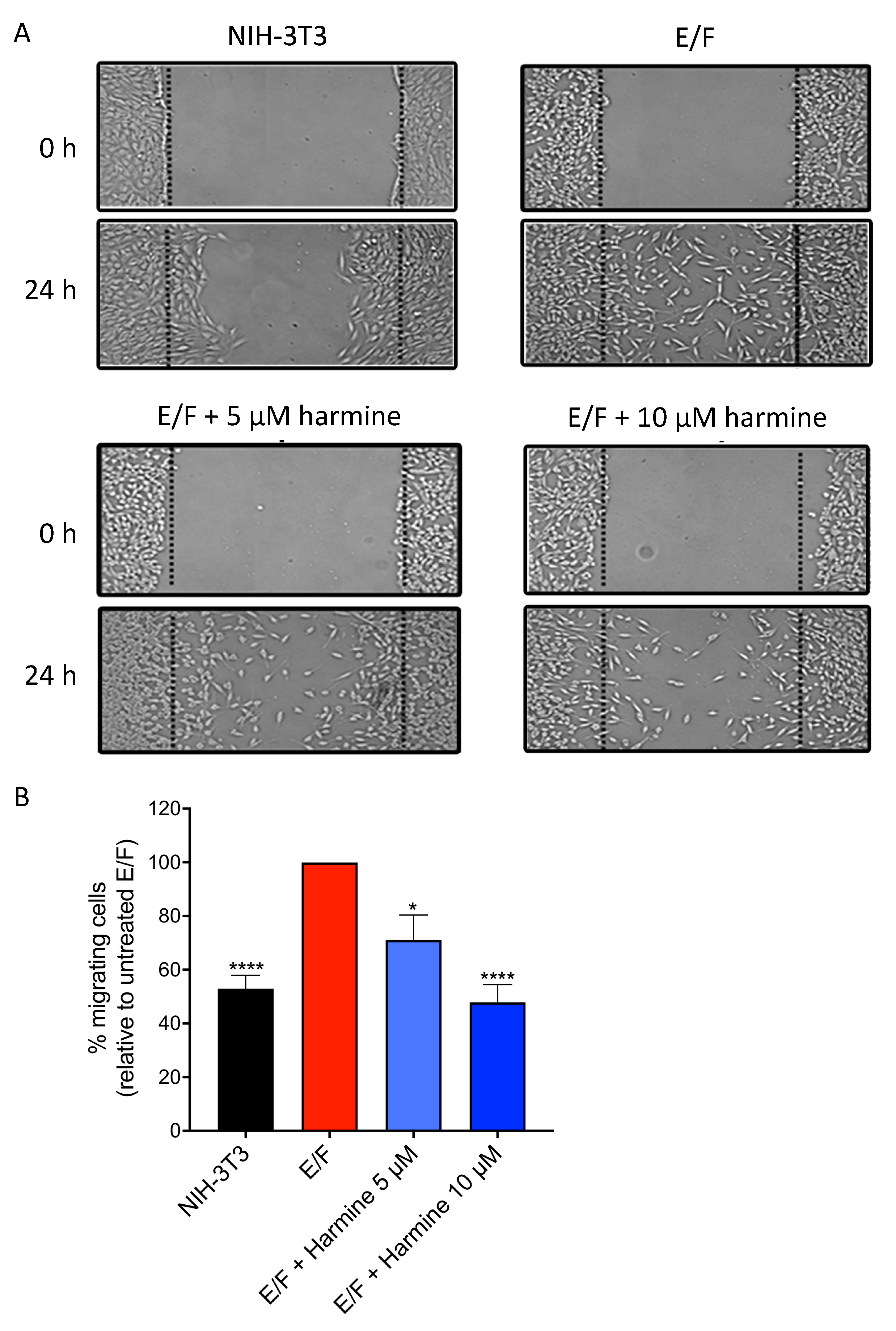 Cells 09 01168 g005 Cells 09 01168 g005