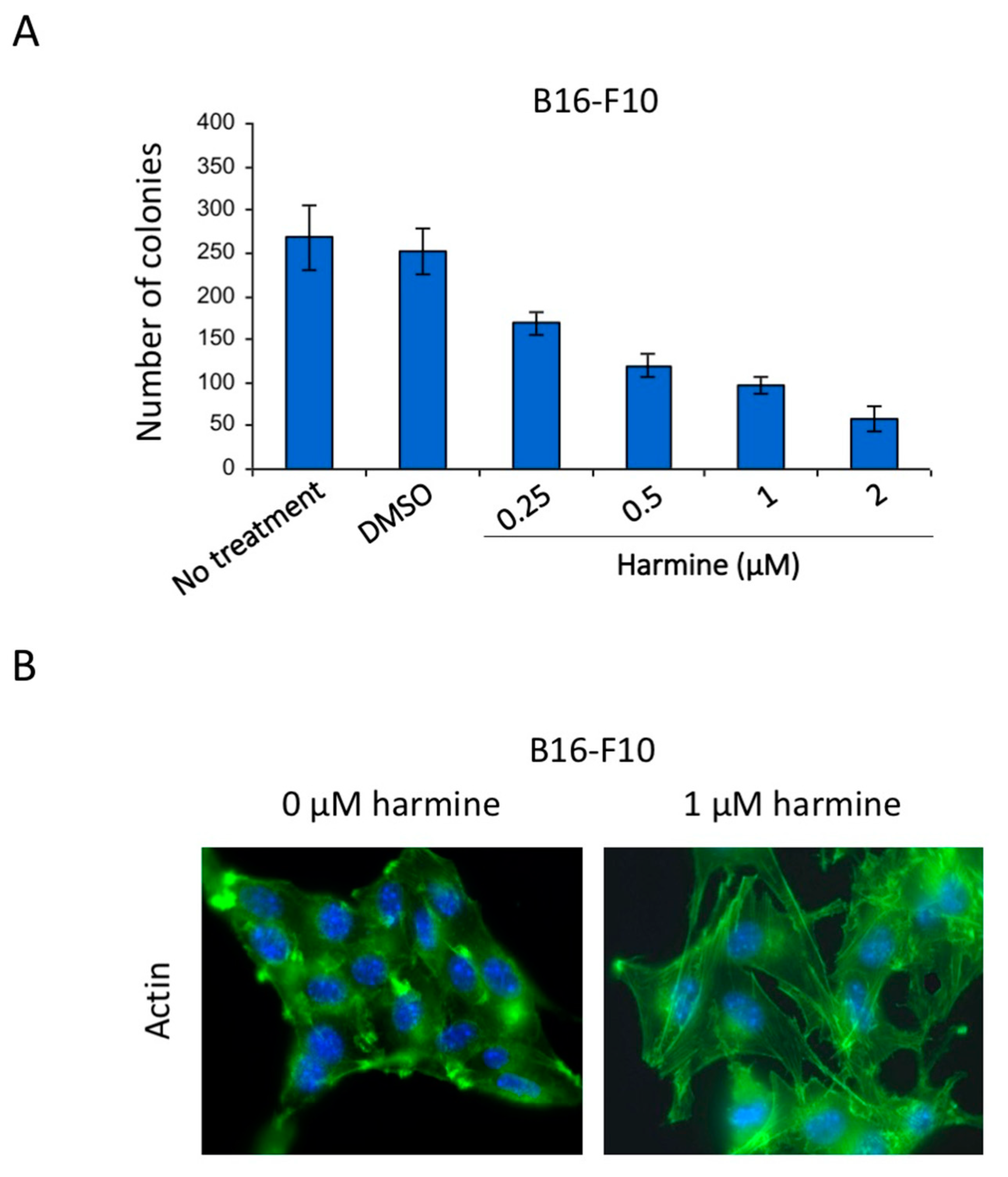 Cells 09 01168 g007 Cells 09 01168 g007