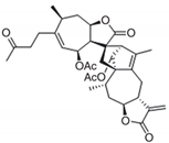 Cells 09 01176 i003 Cells 09 01176 i003
