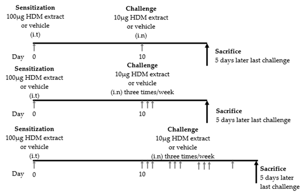 Cells 09 01178 i001 Cells 09 01178 i001