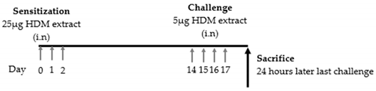 Cells 09 01178 i003 Cells 09 01178 i003