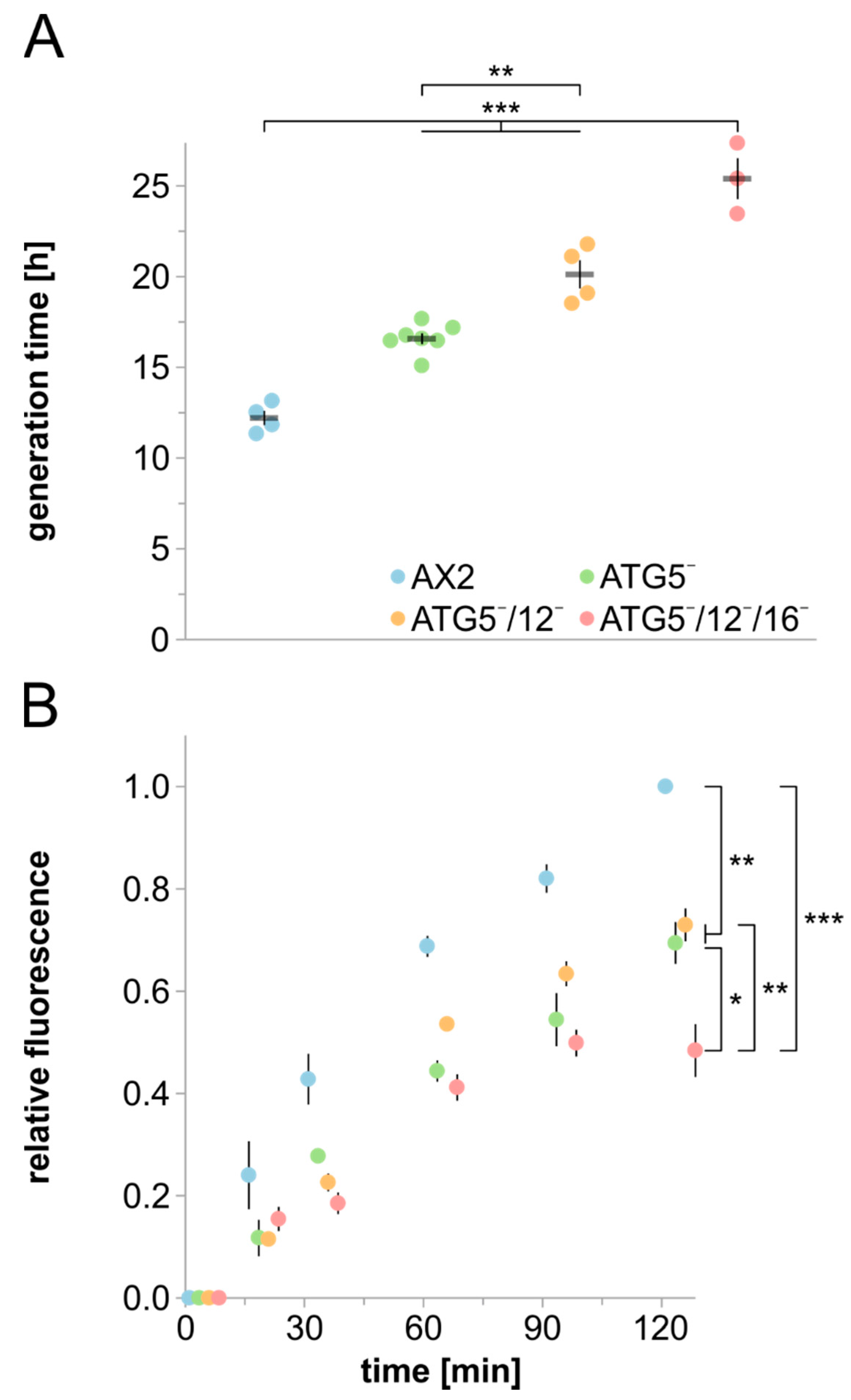 Cells 09 01179 g005 Cells 09 01179 g005