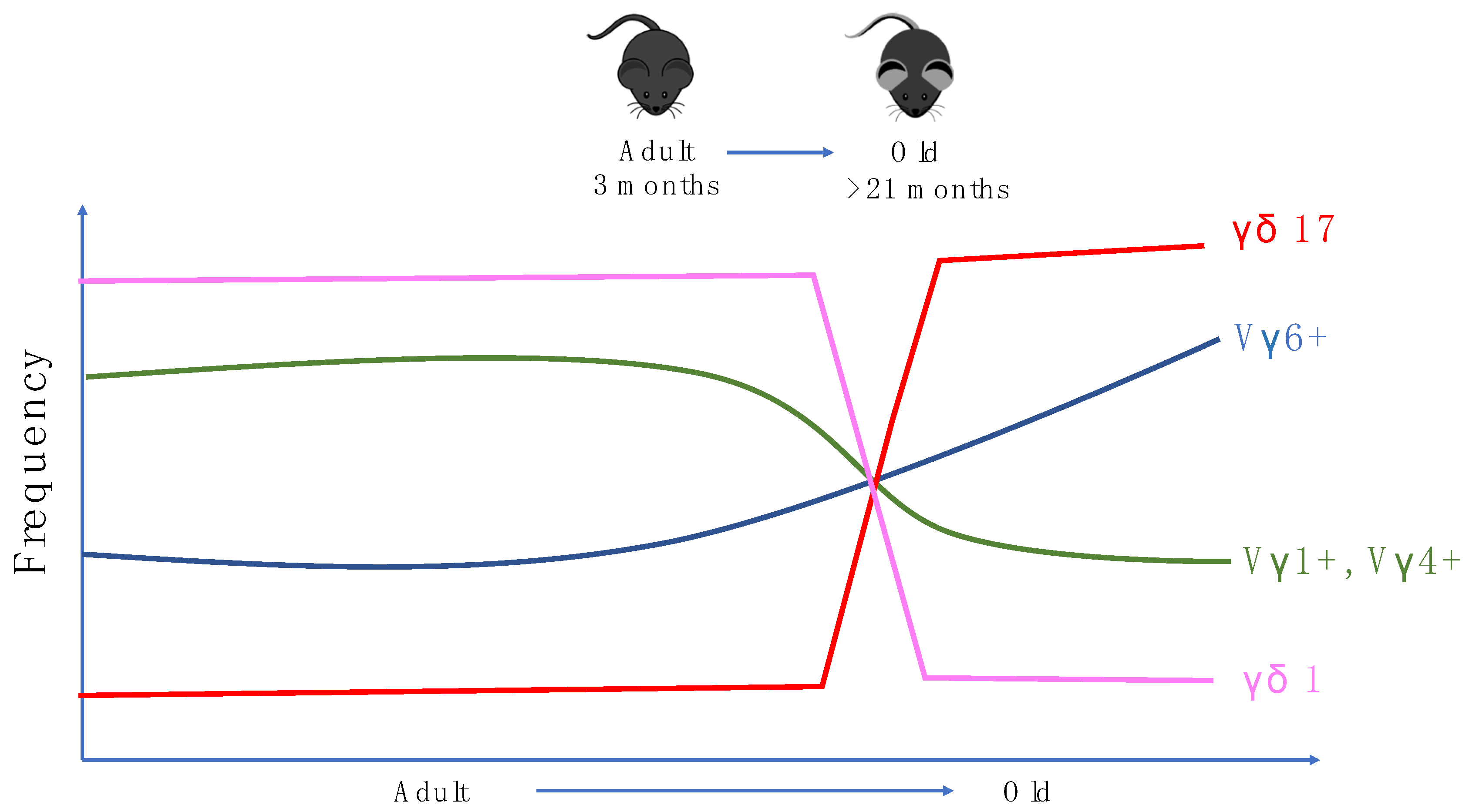 Cells 09 01181 g002 Cells 09 01181 g002