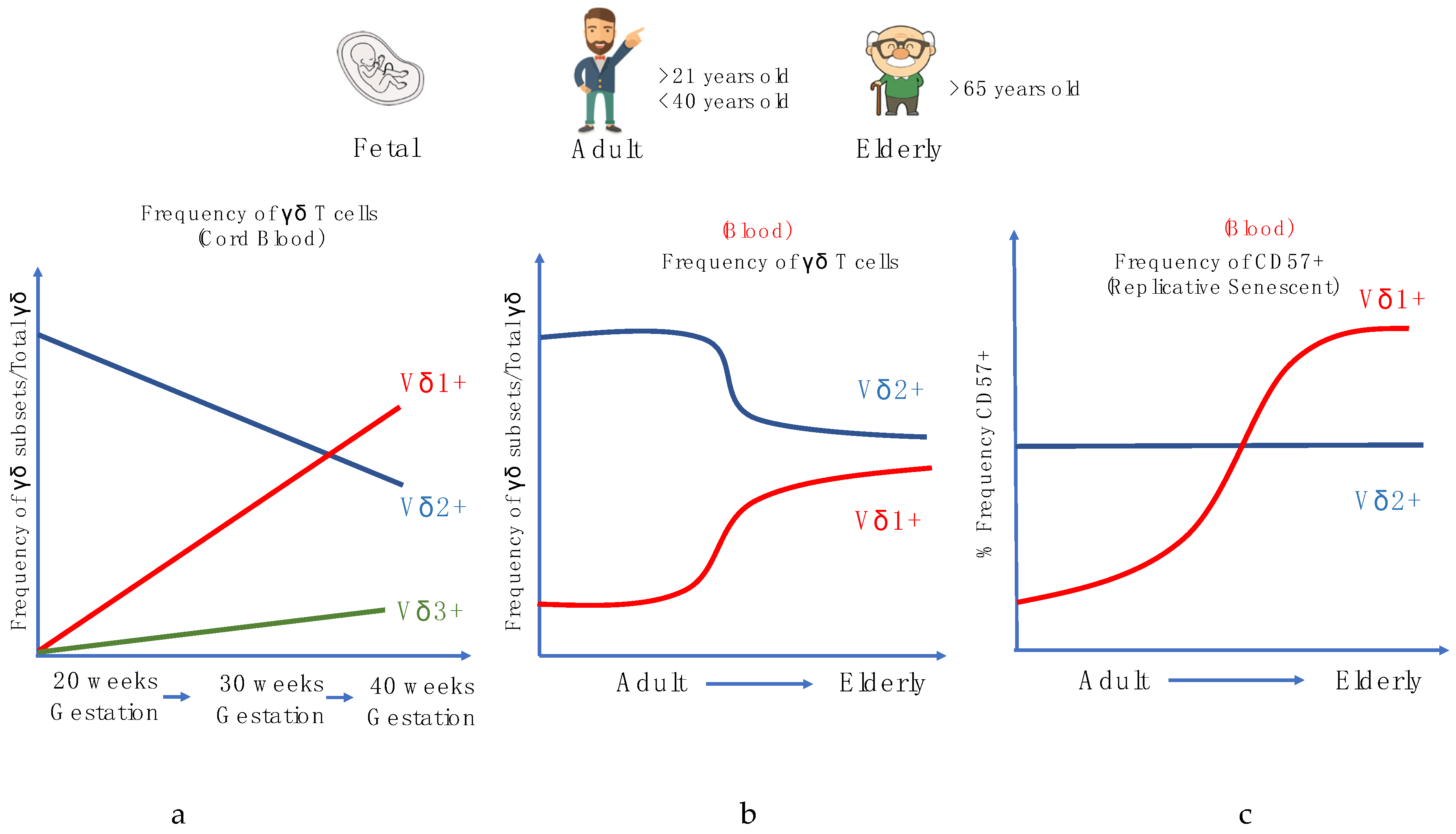 Cells 09 01181 g003 Cells 09 01181 g003