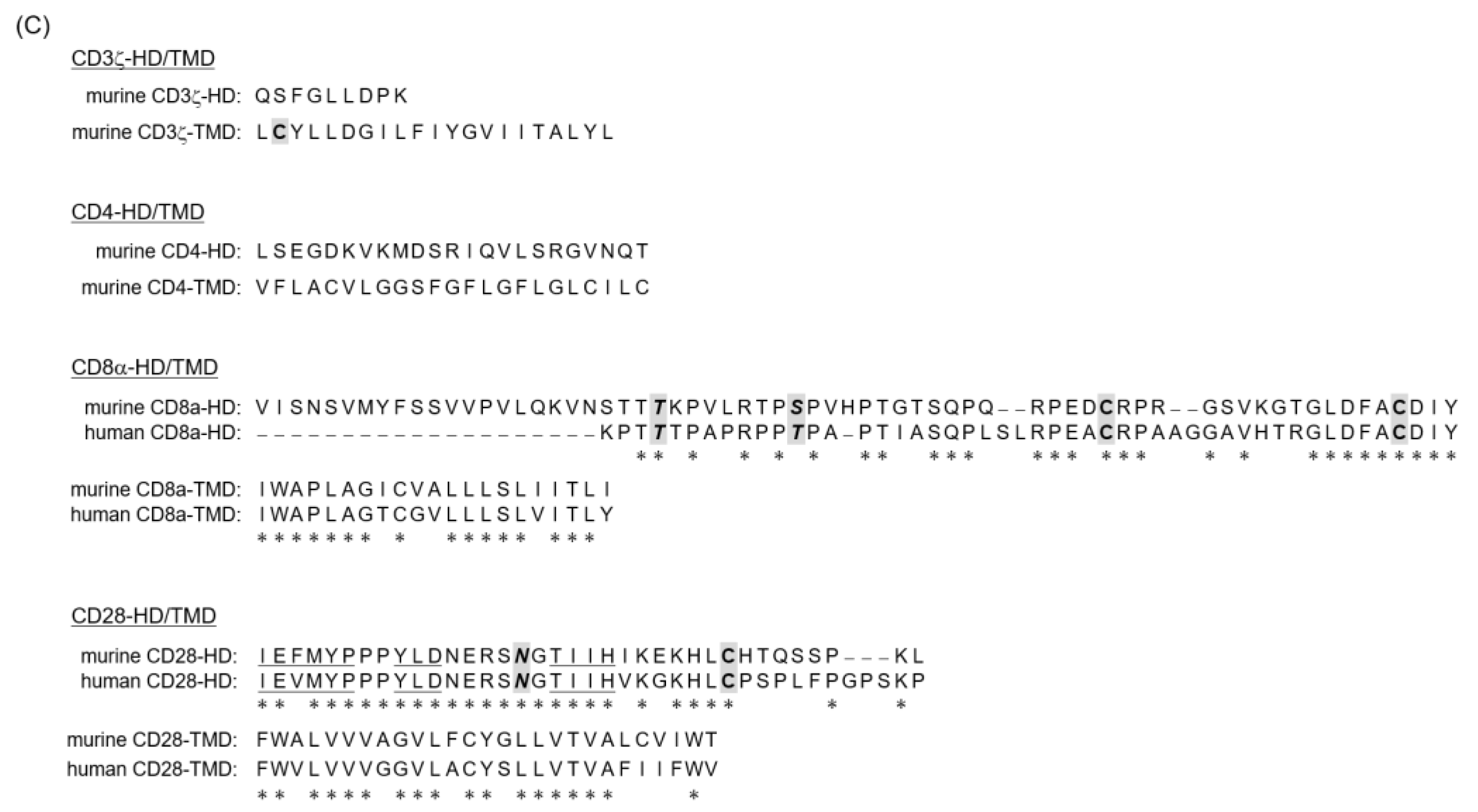 Cells 09 01182 g001b Cells 09 01182 g001b