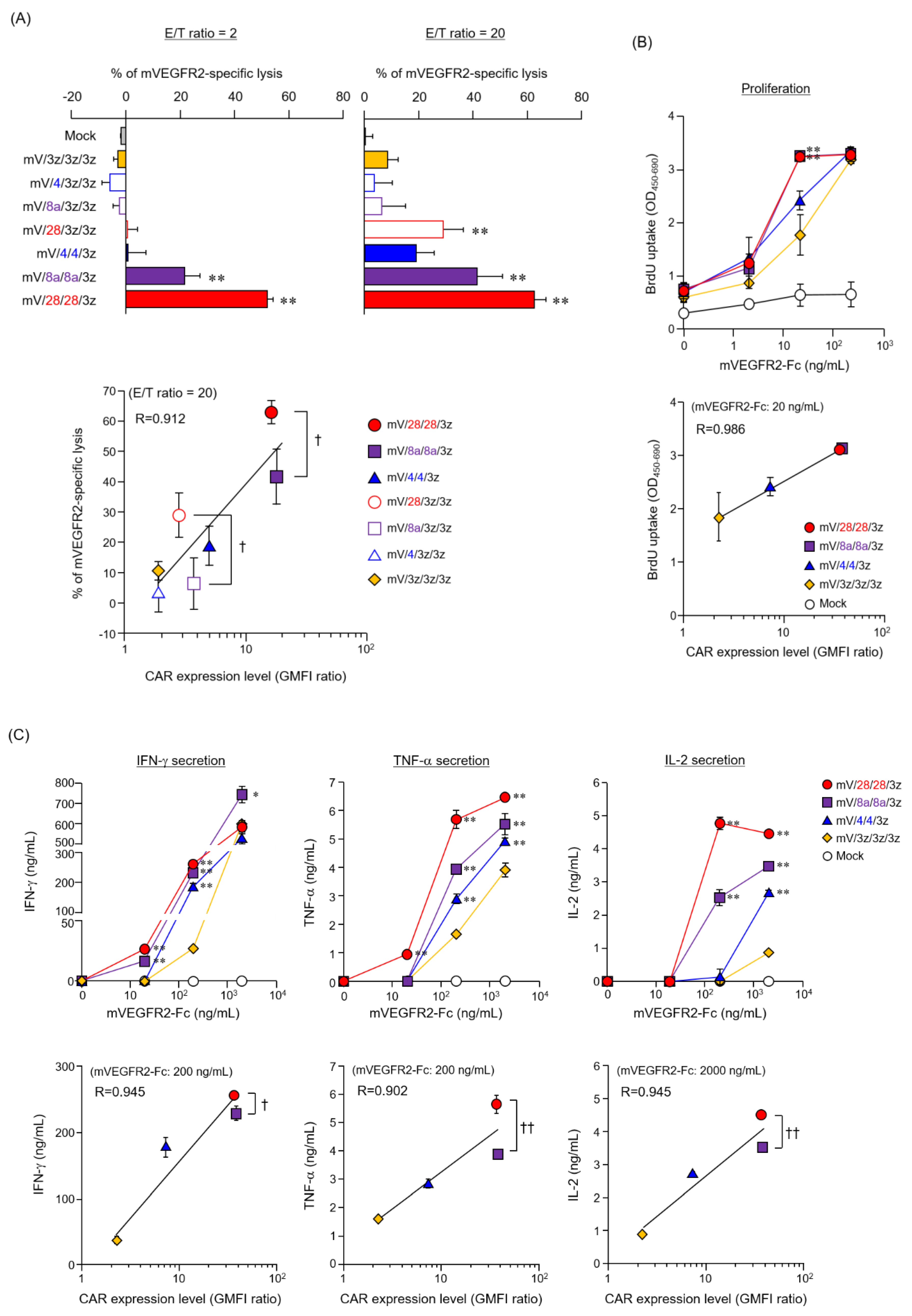 Cells 09 01182 g003 Cells 09 01182 g003