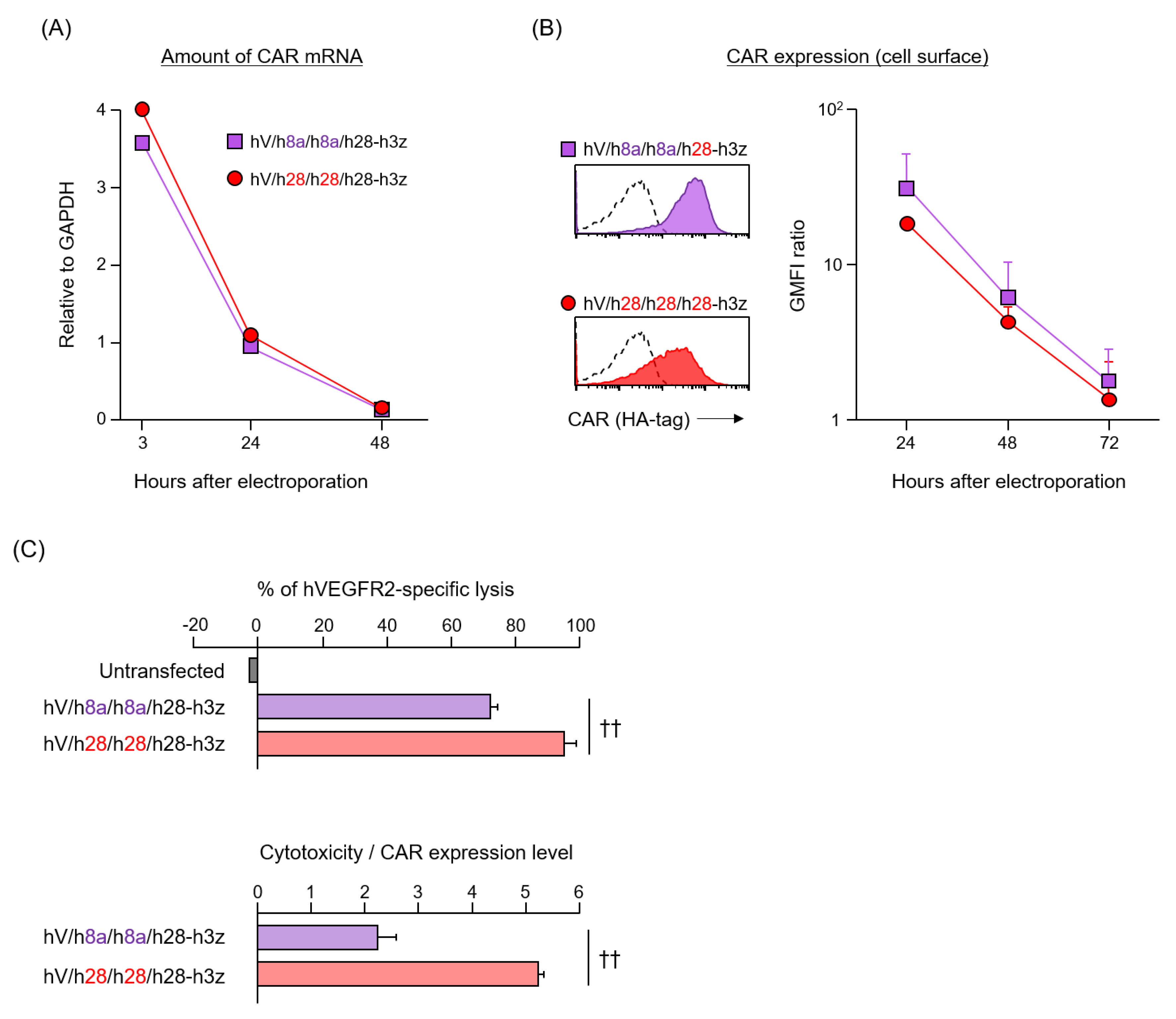 Cells 09 01182 g004 Cells 09 01182 g004