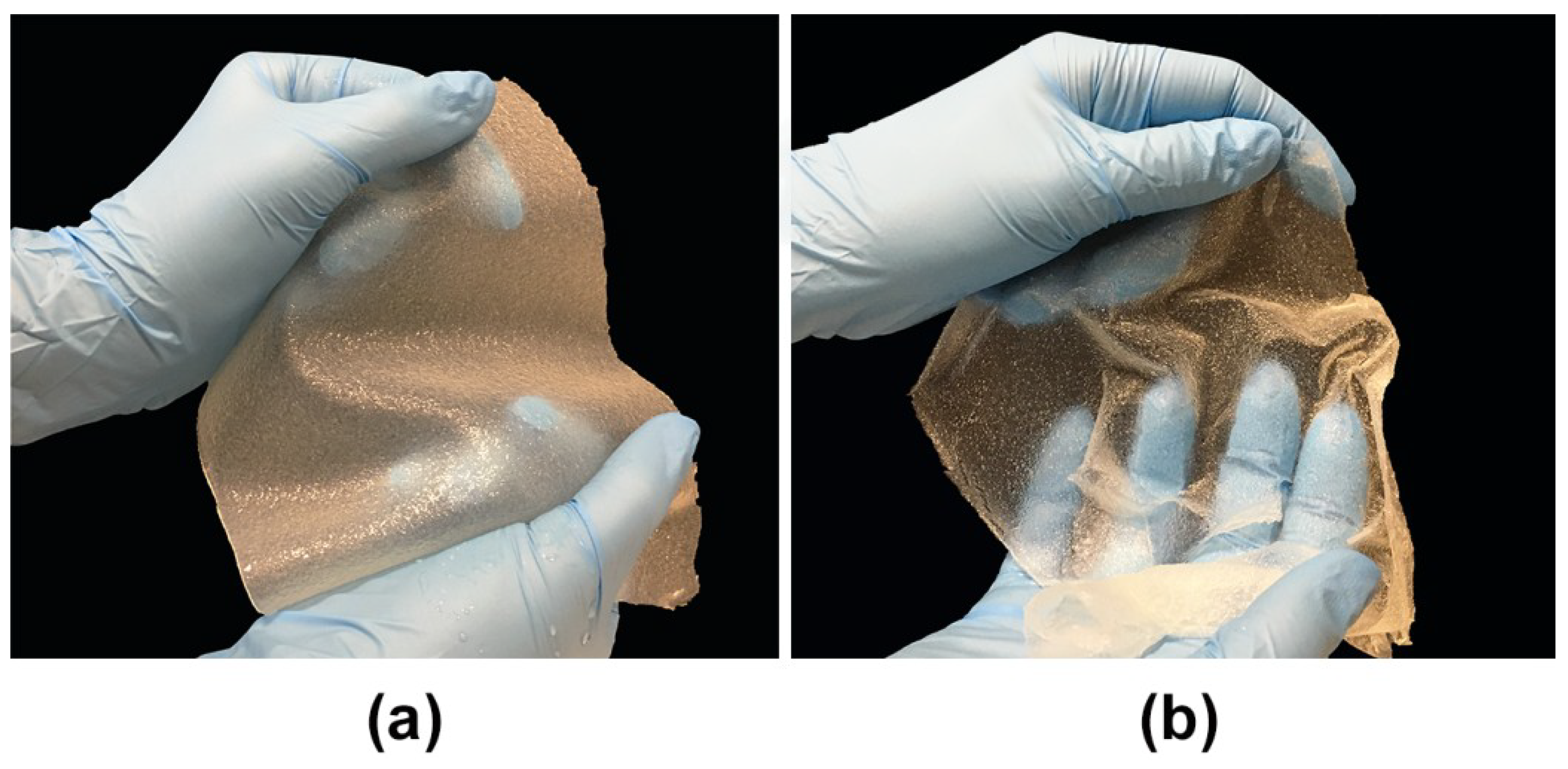 Cells 09 01185 g001 Cells 09 01185 g001