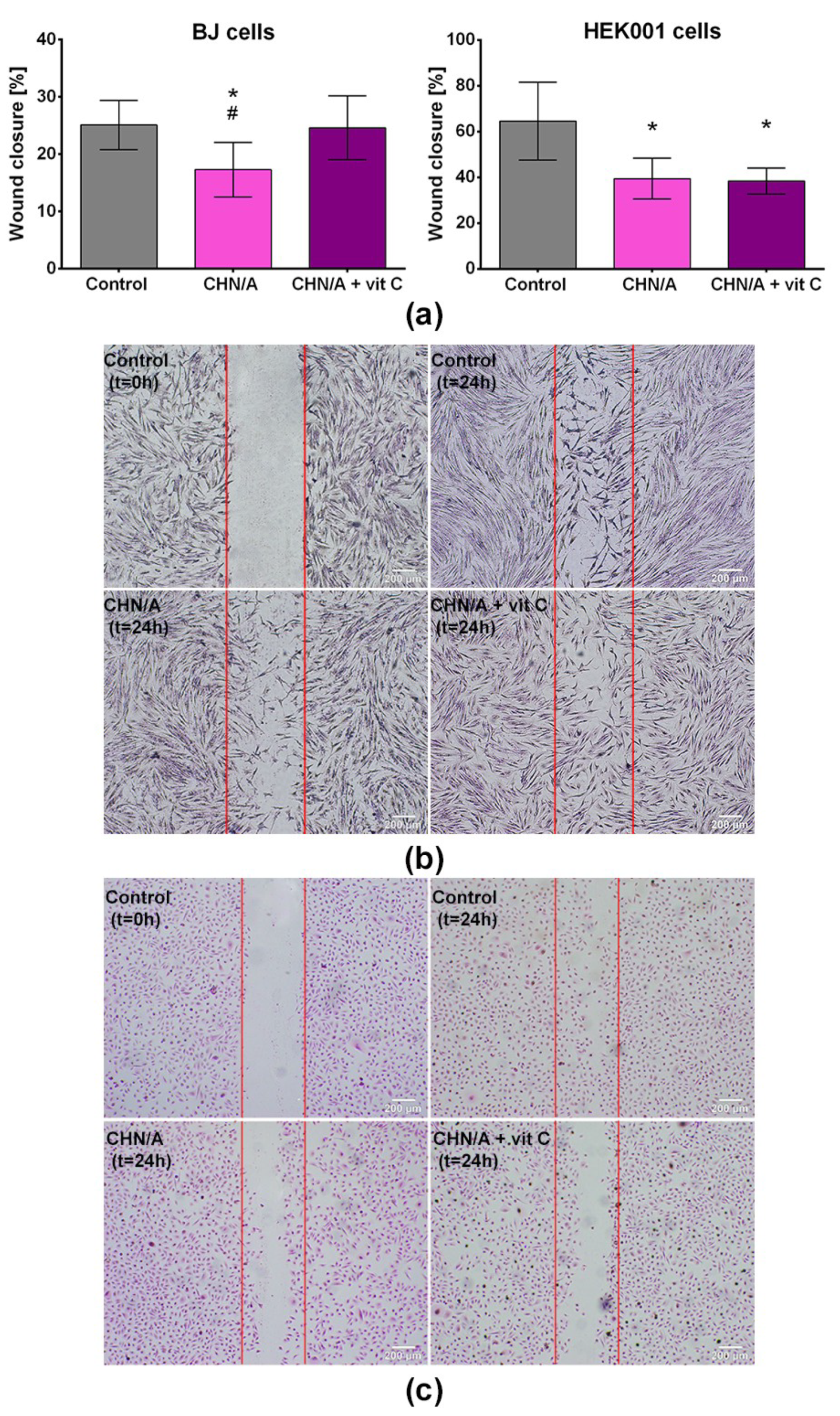 Cells 09 01185 g004 Cells 09 01185 g004