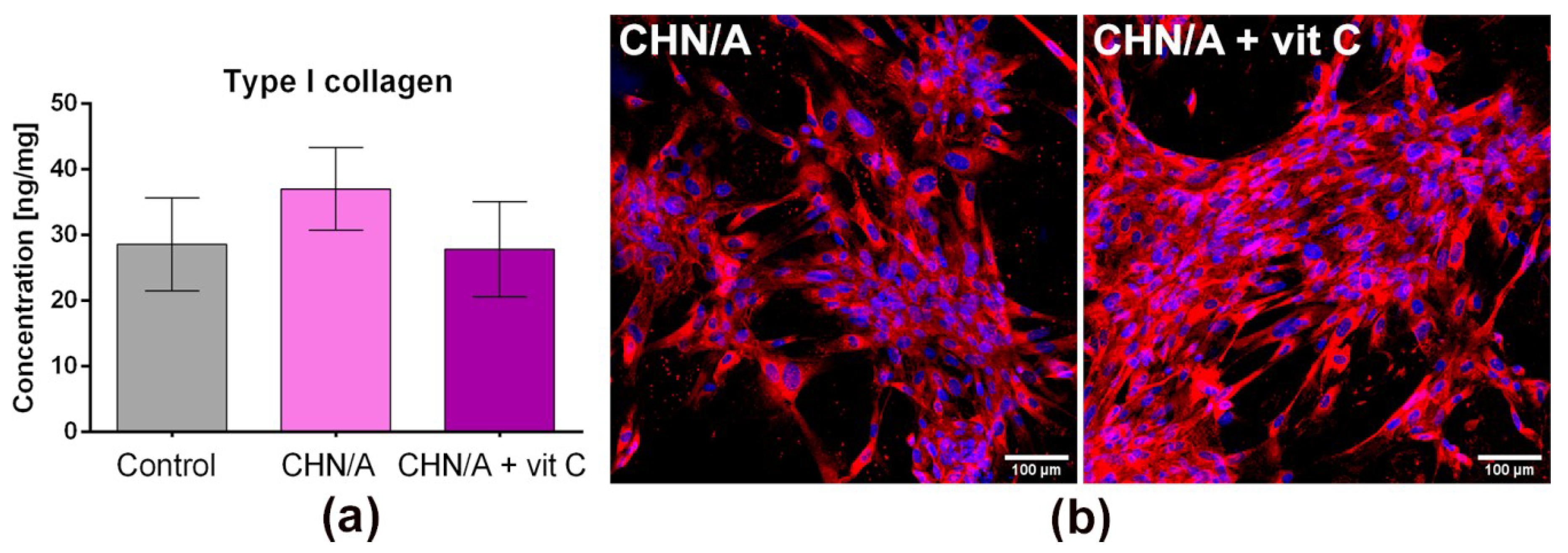 Cells 09 01185 g007 Cells 09 01185 g007
