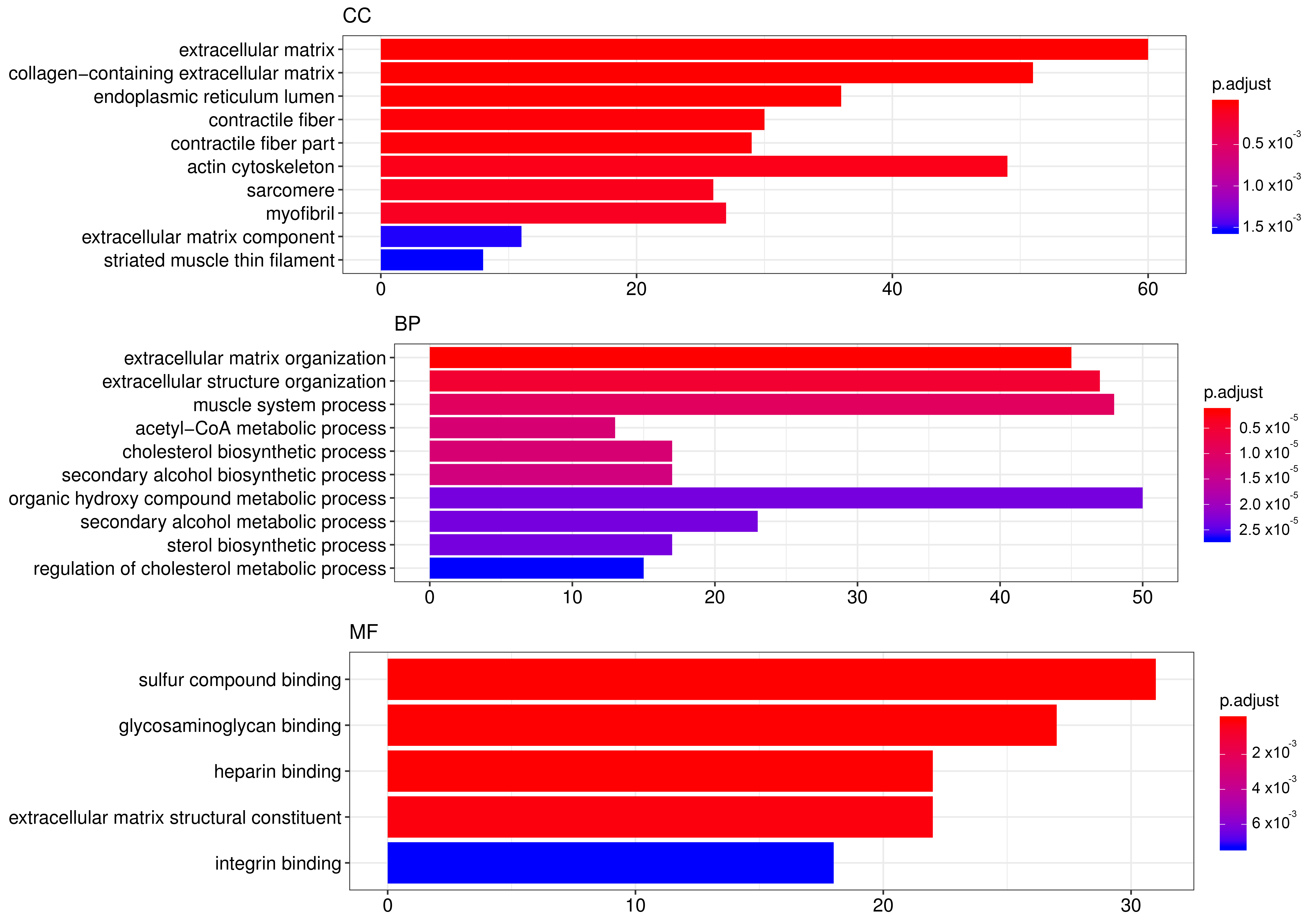 Cells 09 01187 g004 Cells 09 01187 g004