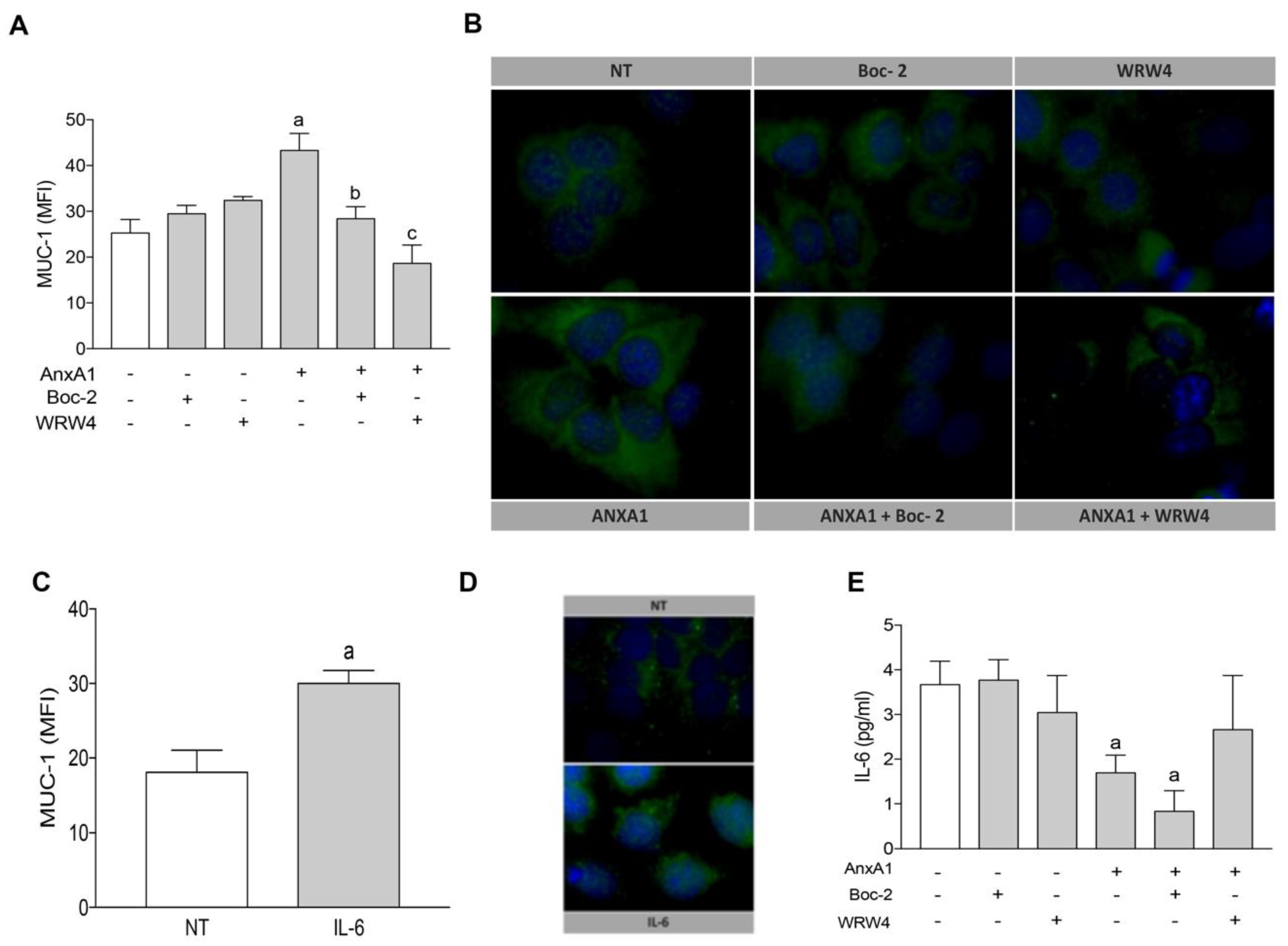 Cells 09 01188 g002 Cells 09 01188 g002