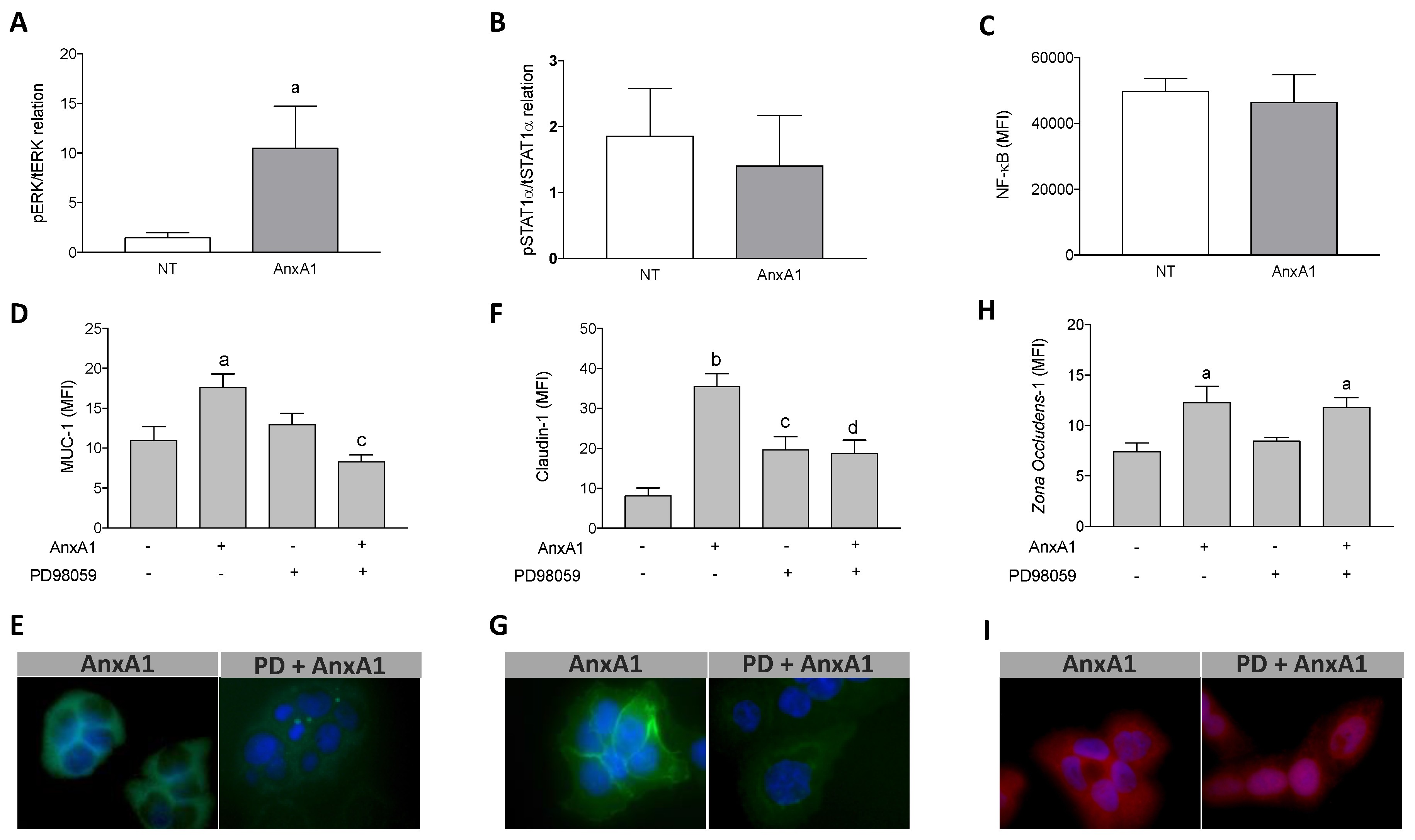 Cells 09 01188 g004 Cells 09 01188 g004