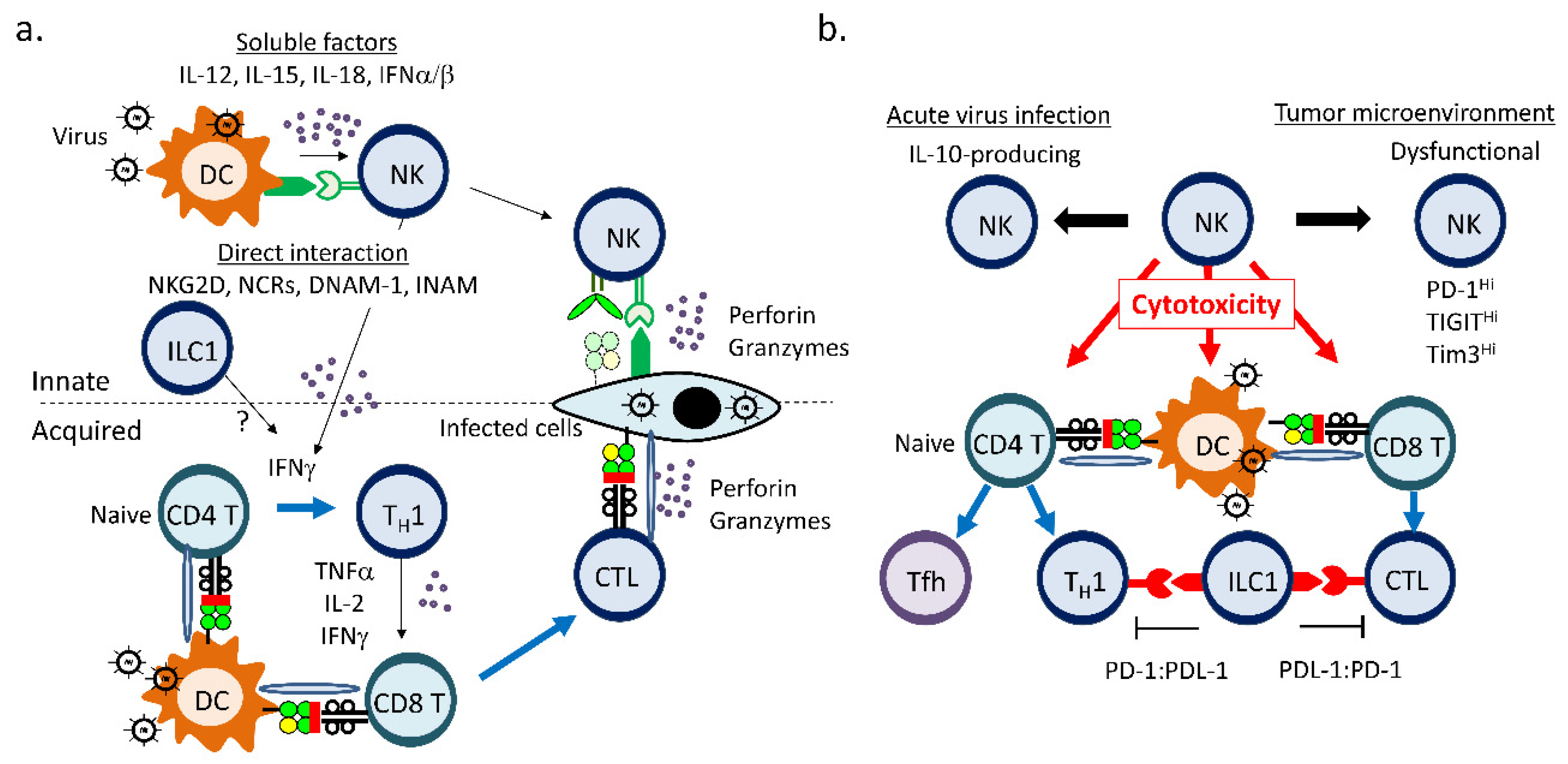 Cells 09 01193 g002 Cells 09 01193 g002