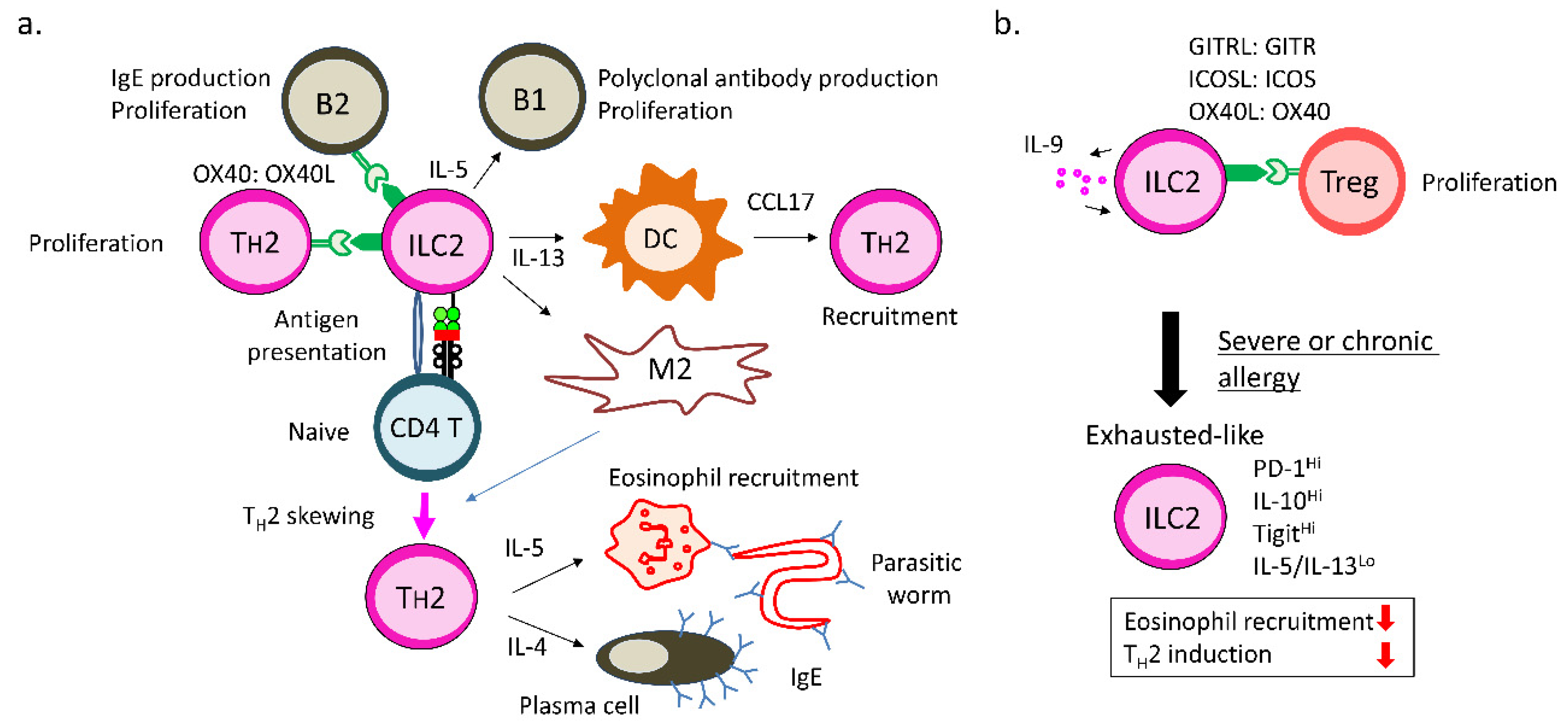 Cells 09 01193 g003 Cells 09 01193 g003